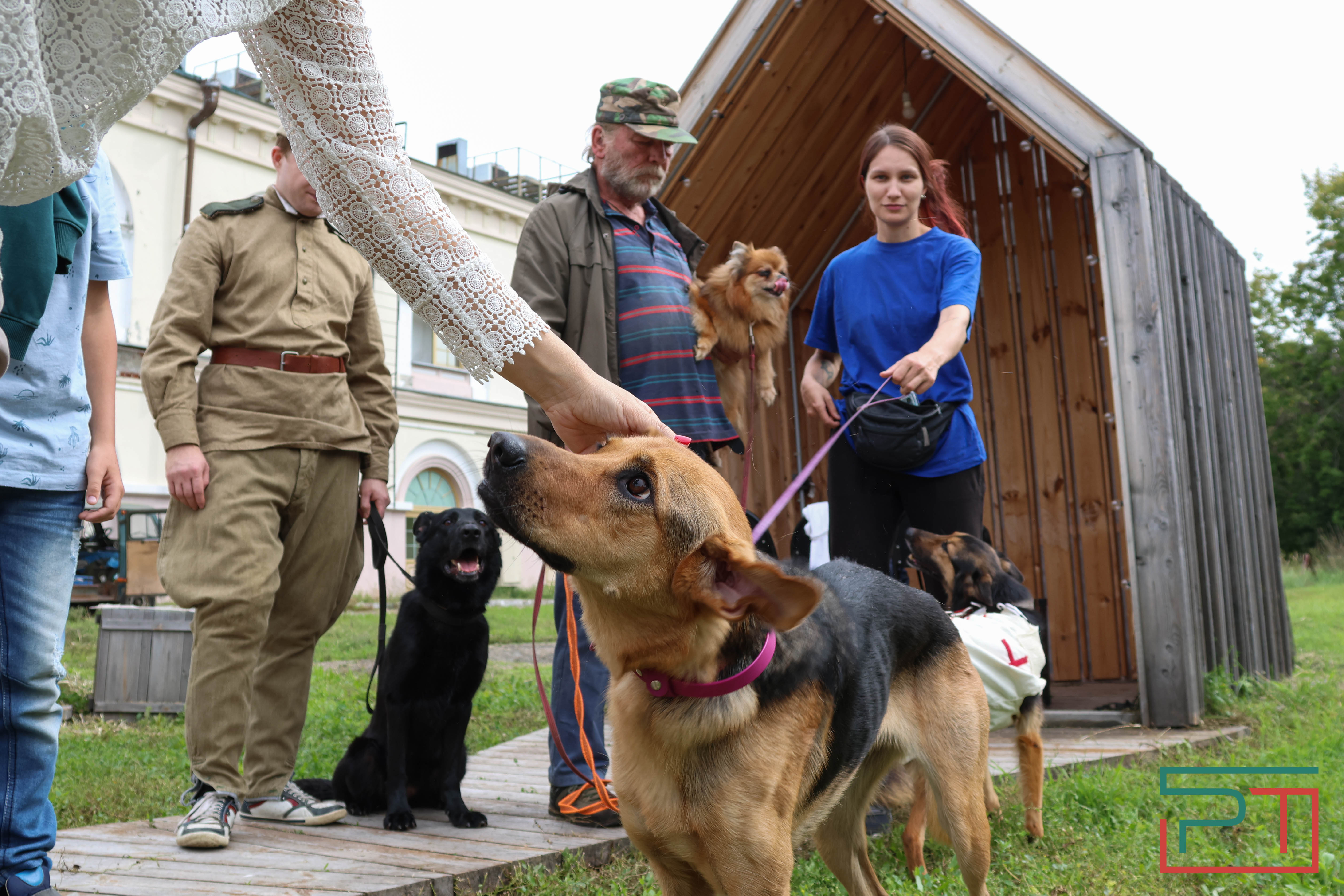 День фронтовой собаки в Нацмузее РТ