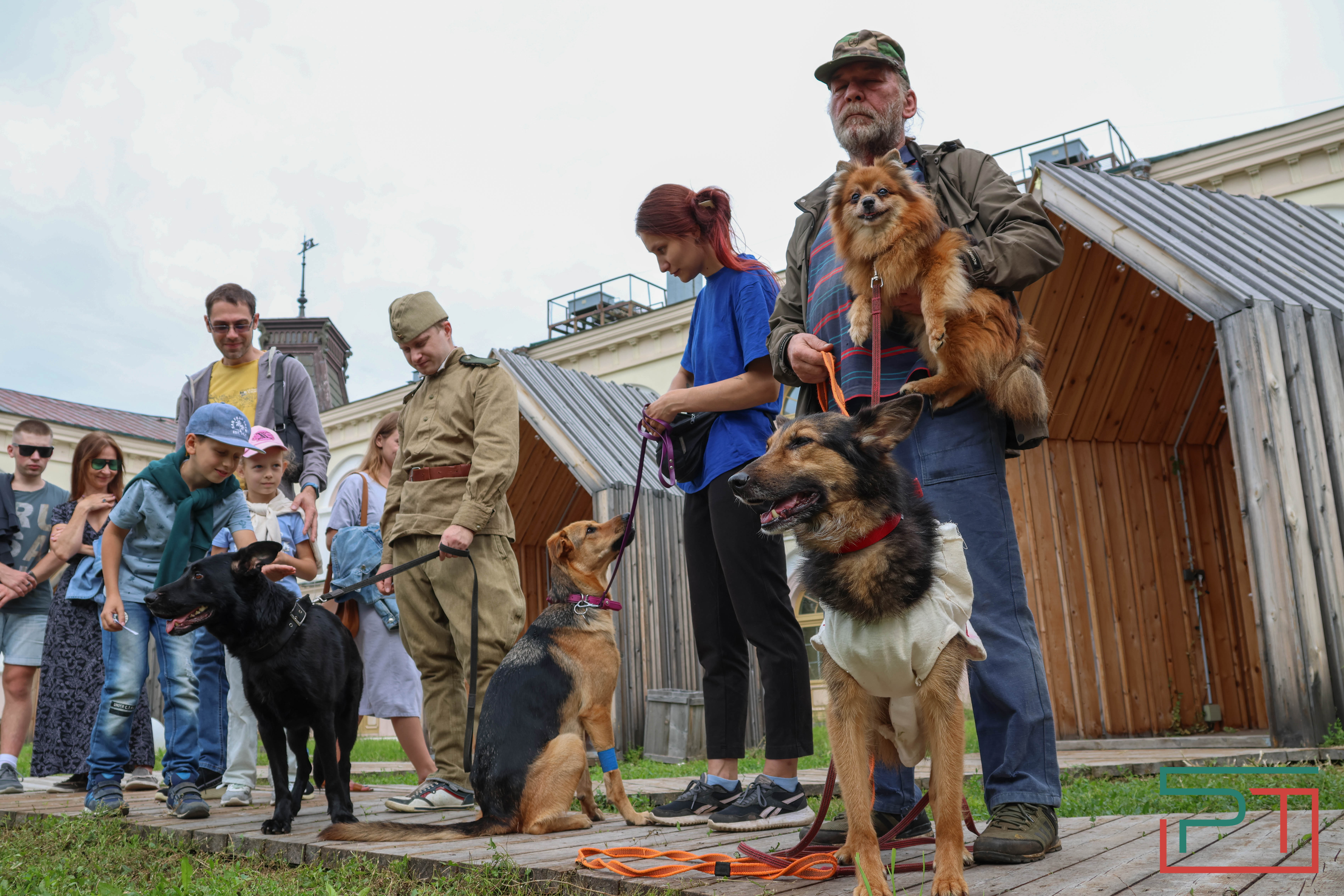 День фронтовой собаки в Нацмузее РТ