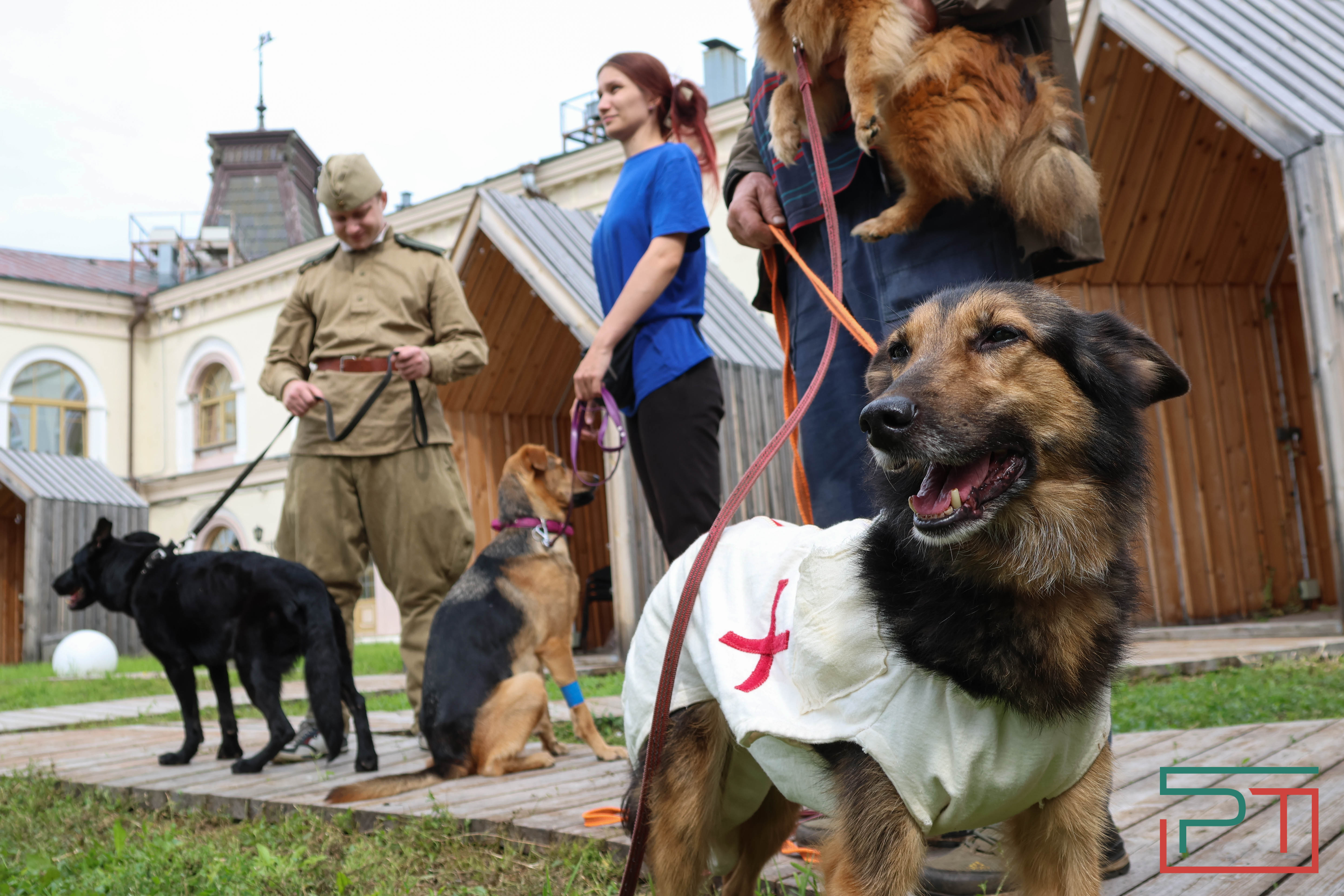 День фронтовой собаки в Нацмузее РТ