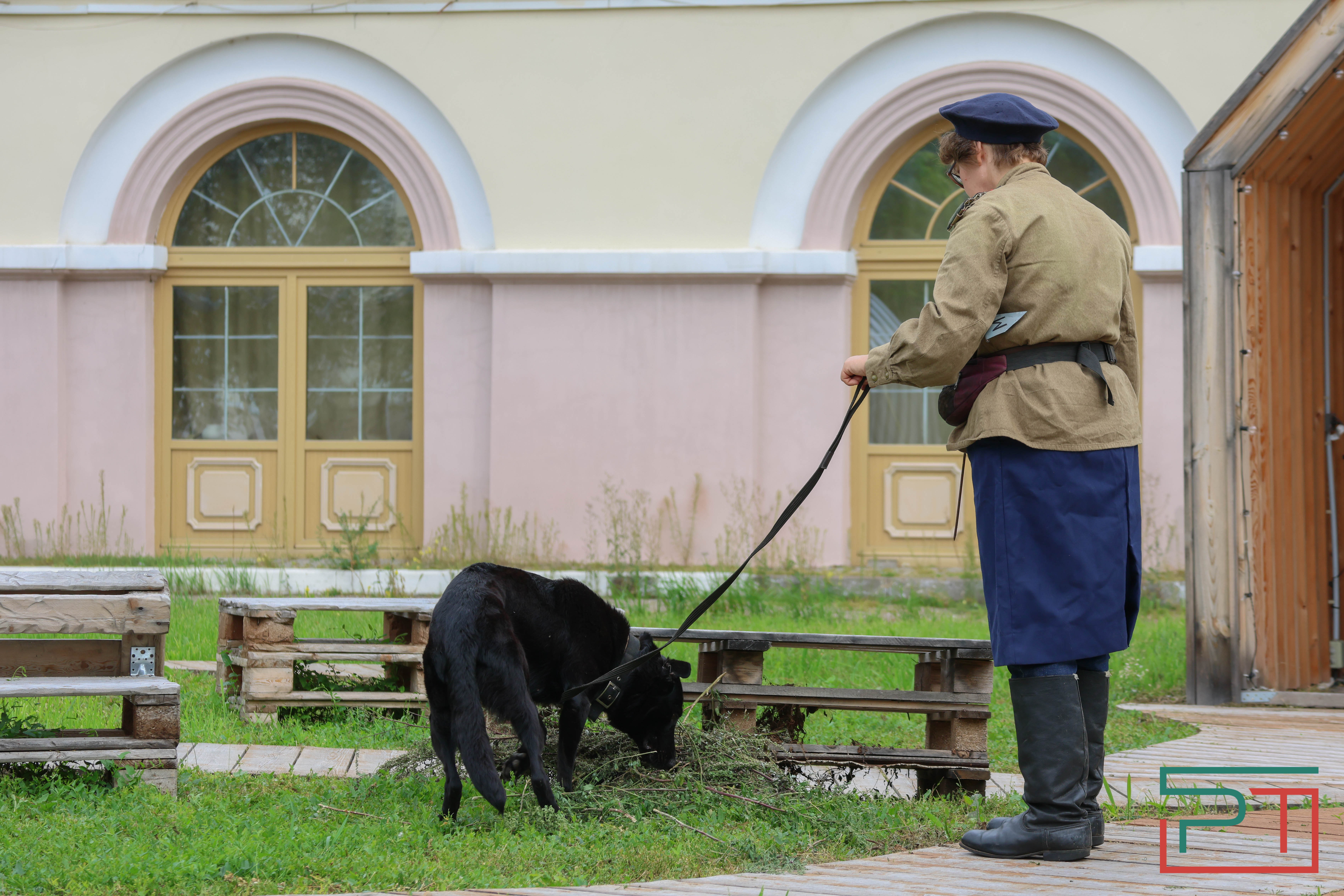День фронтовой собаки в Нацмузее РТ