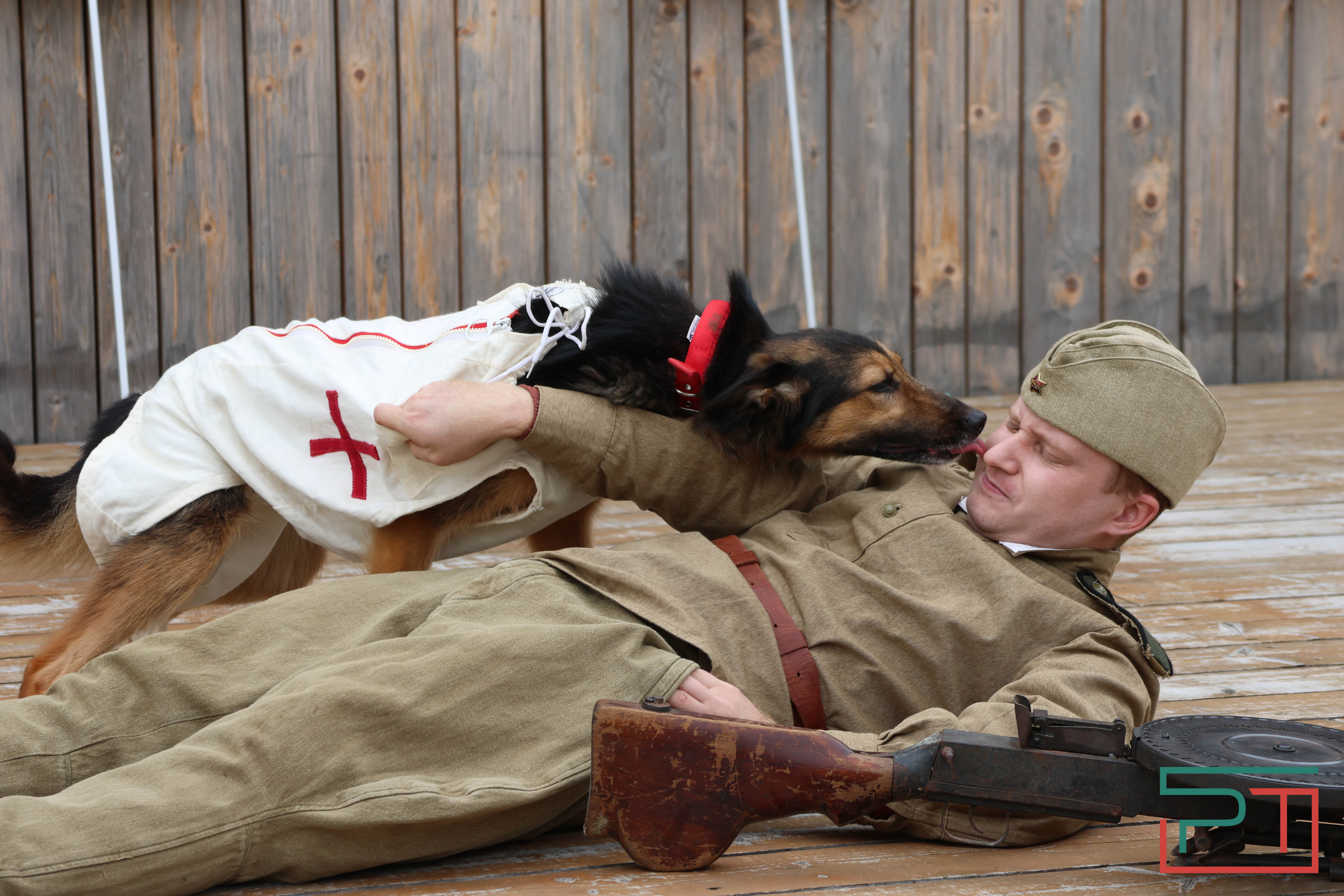День фронтовой собаки в Нацмузее РТ