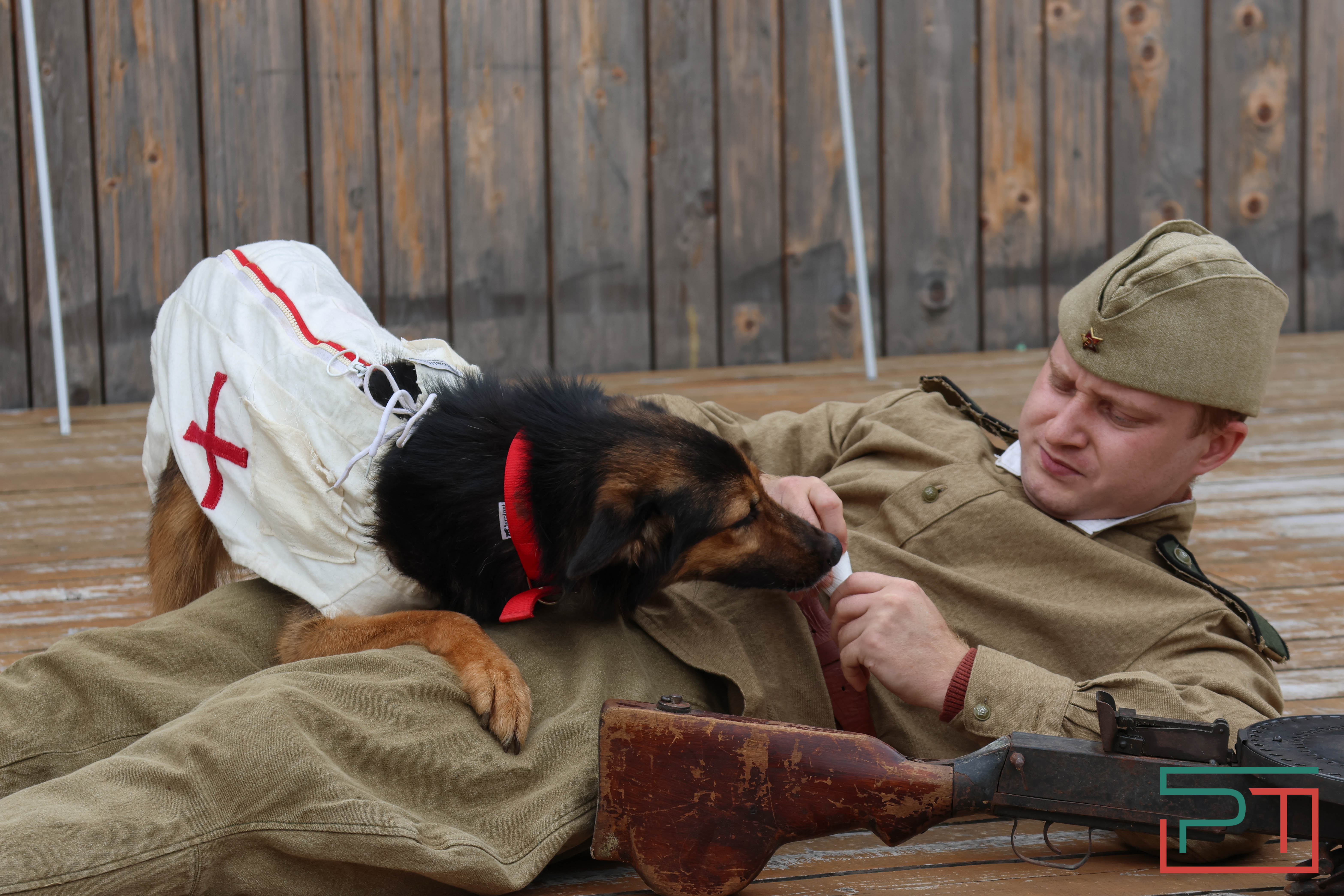 День фронтовой собаки в Нацмузее РТ