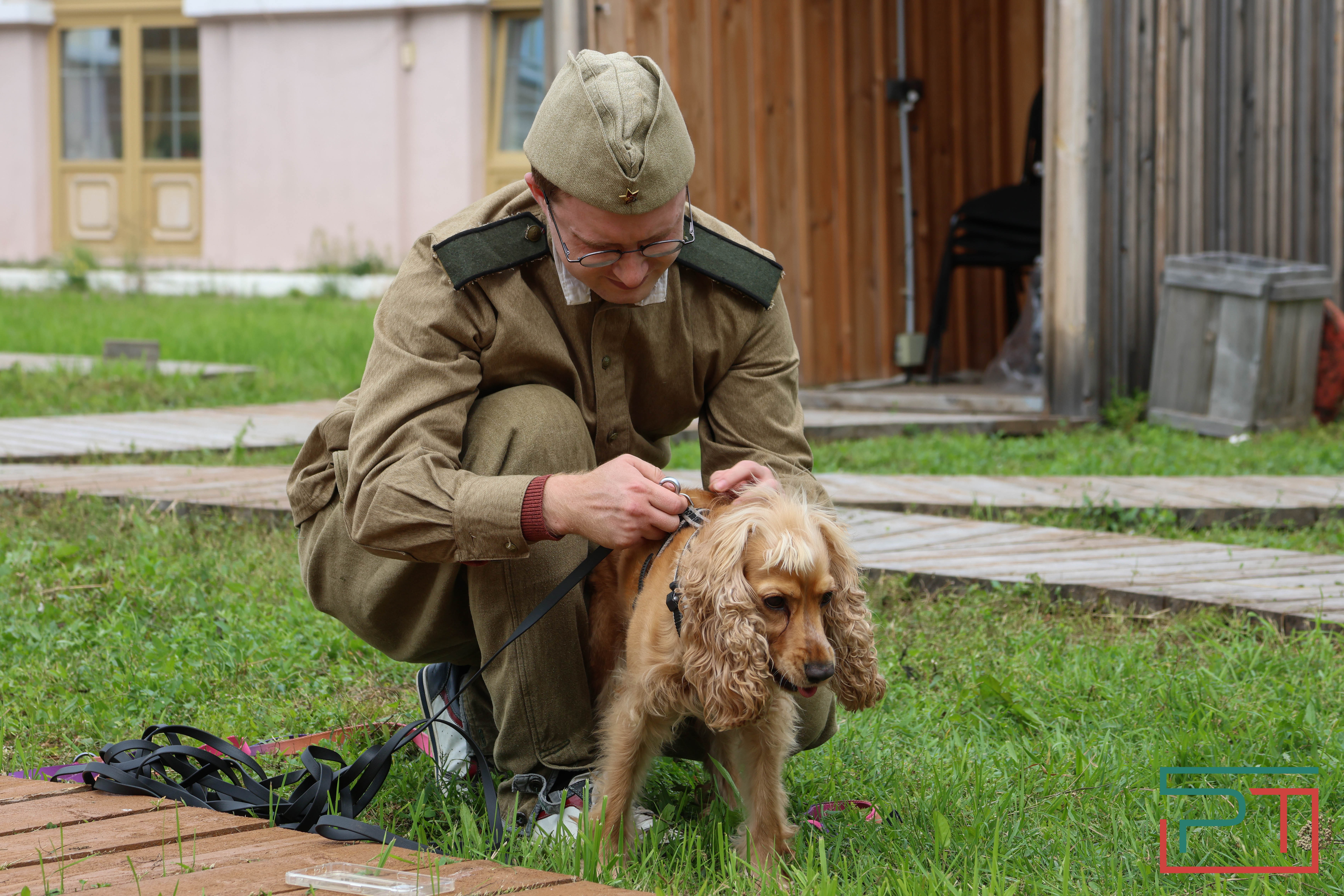 День фронтовой собаки в Нацмузее РТ