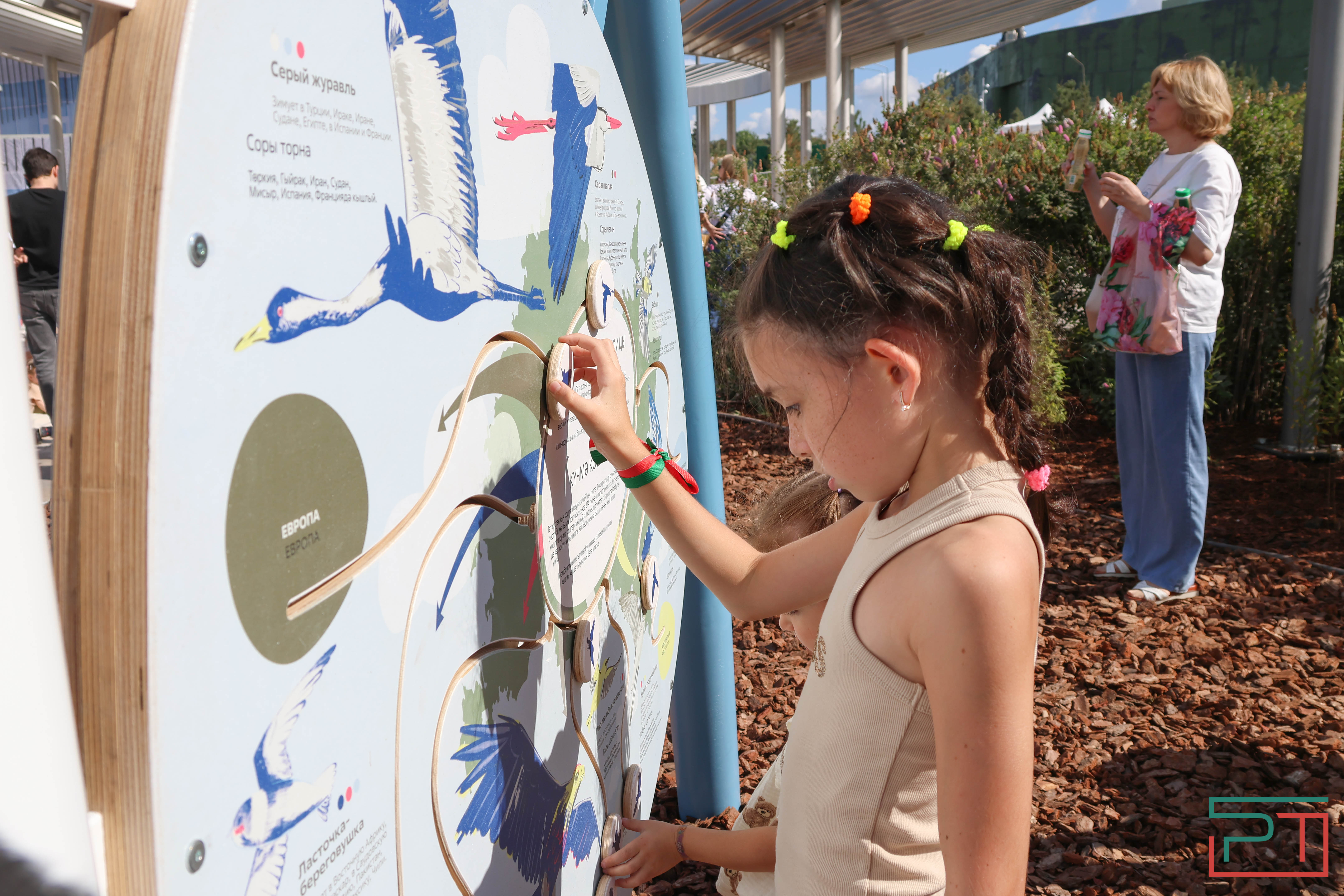 «Полностью изменил облик территории»: в Казани открылся детский парк «Елмай»