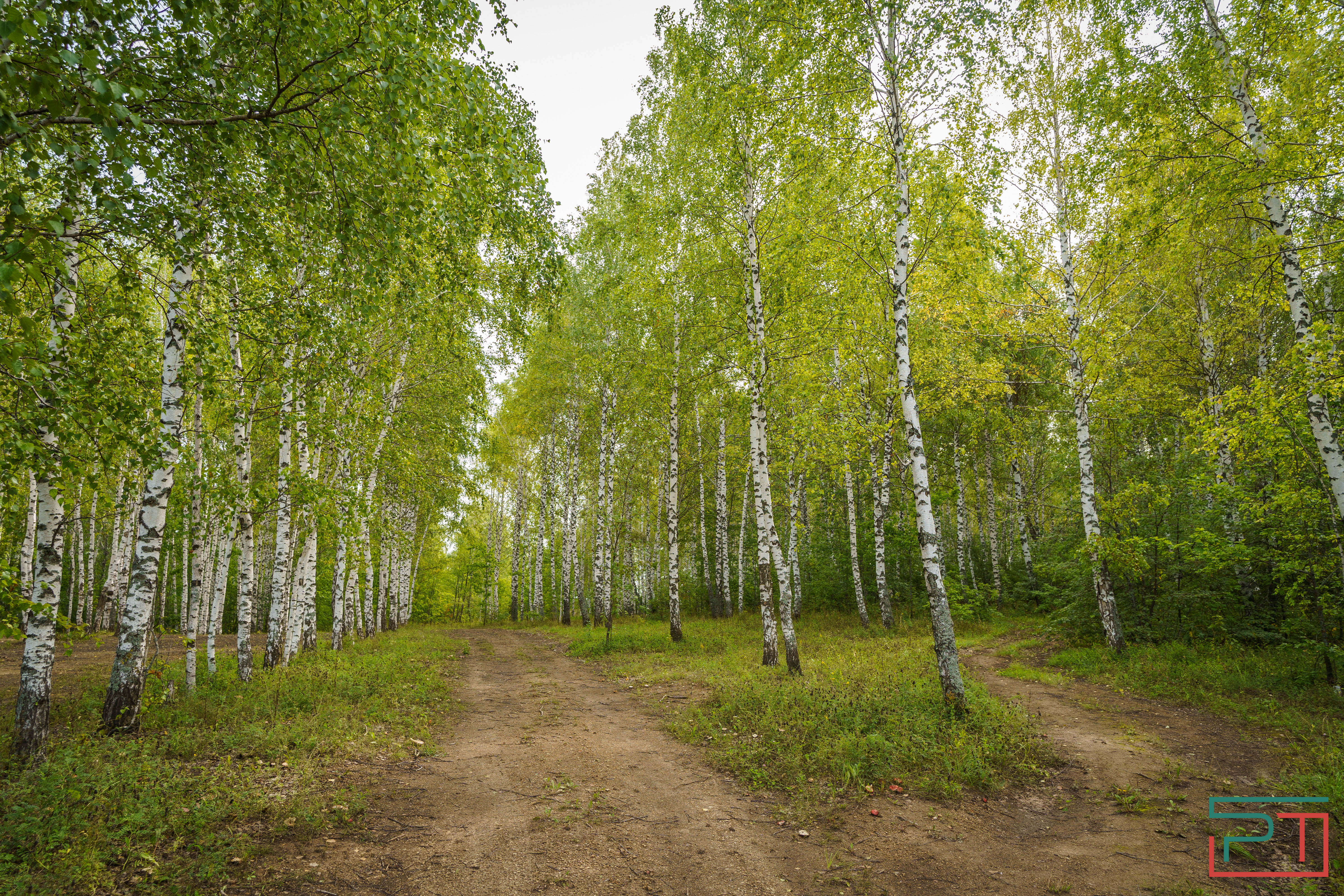 Путешествие по Волжской тропе
