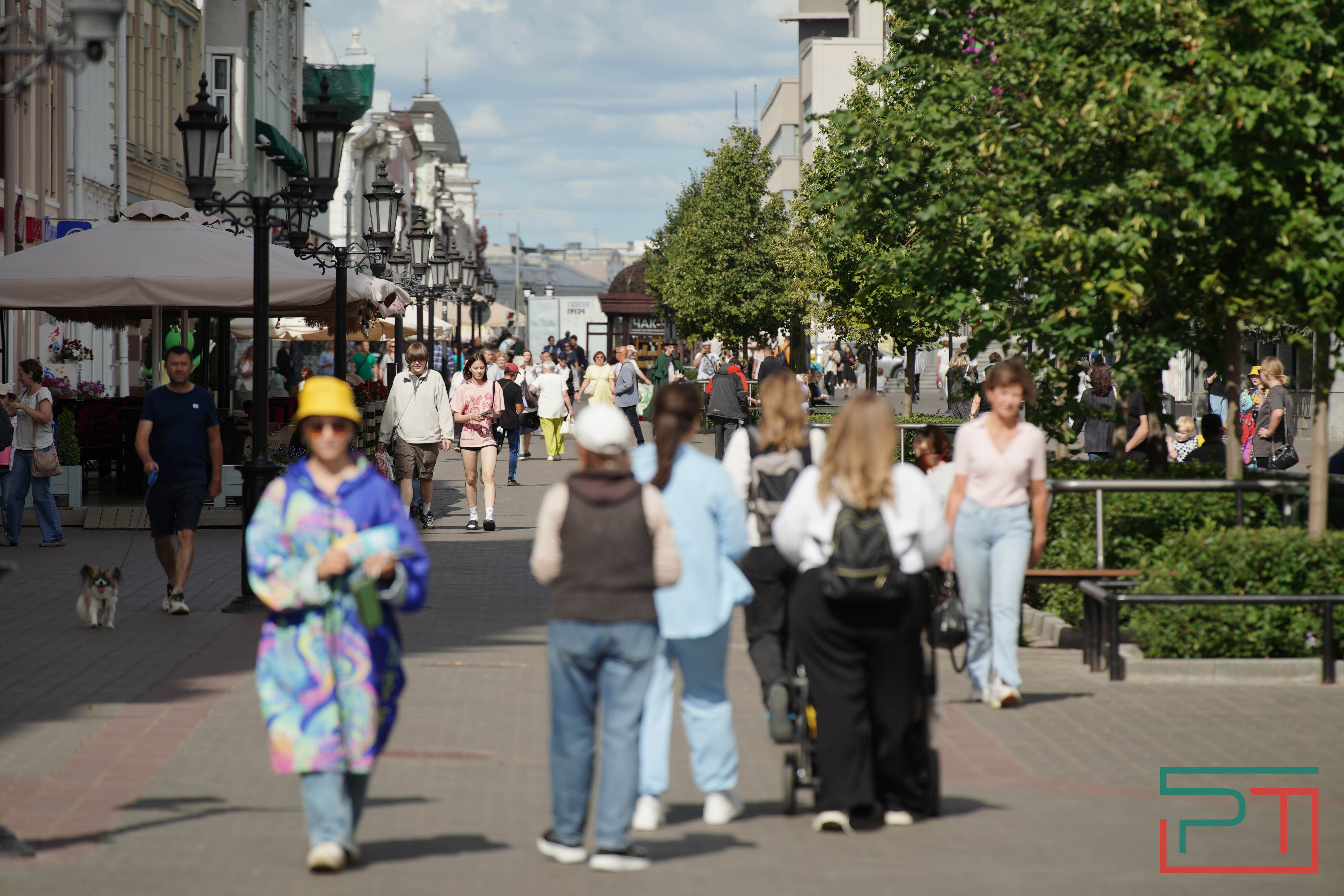 Молодогвардейцы раздадут 45 тыс. лент с флагом России