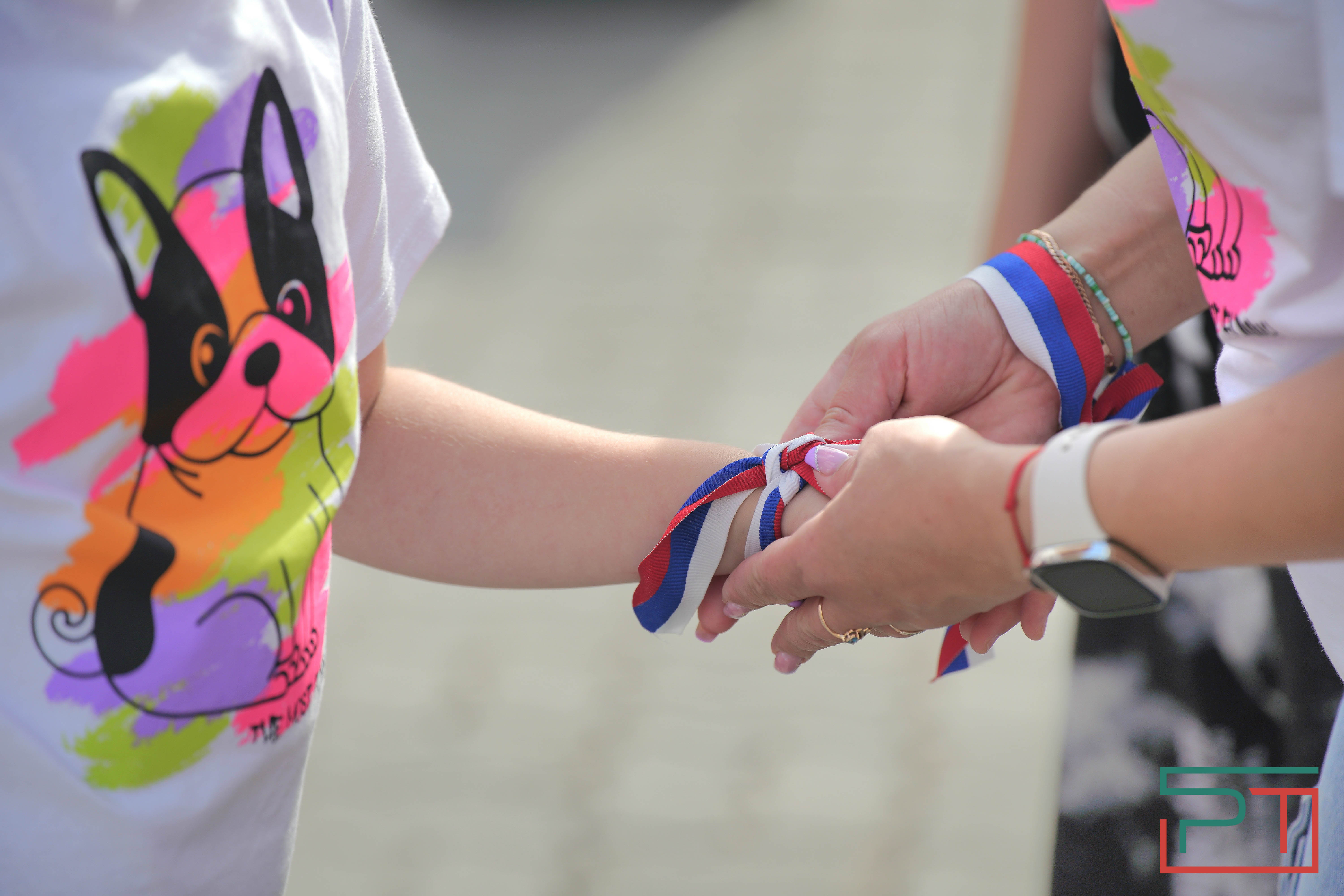 Молодогвардейцы раздадут 45 тыс. лент с флагом России