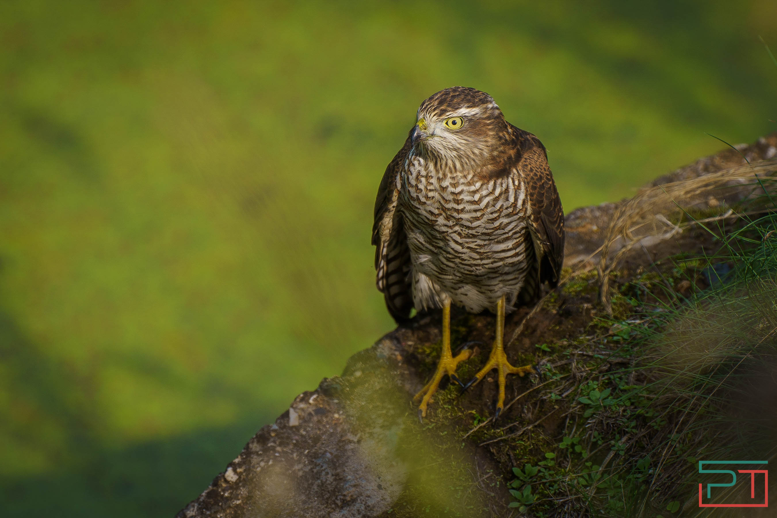Путешествие по Волжской тропе