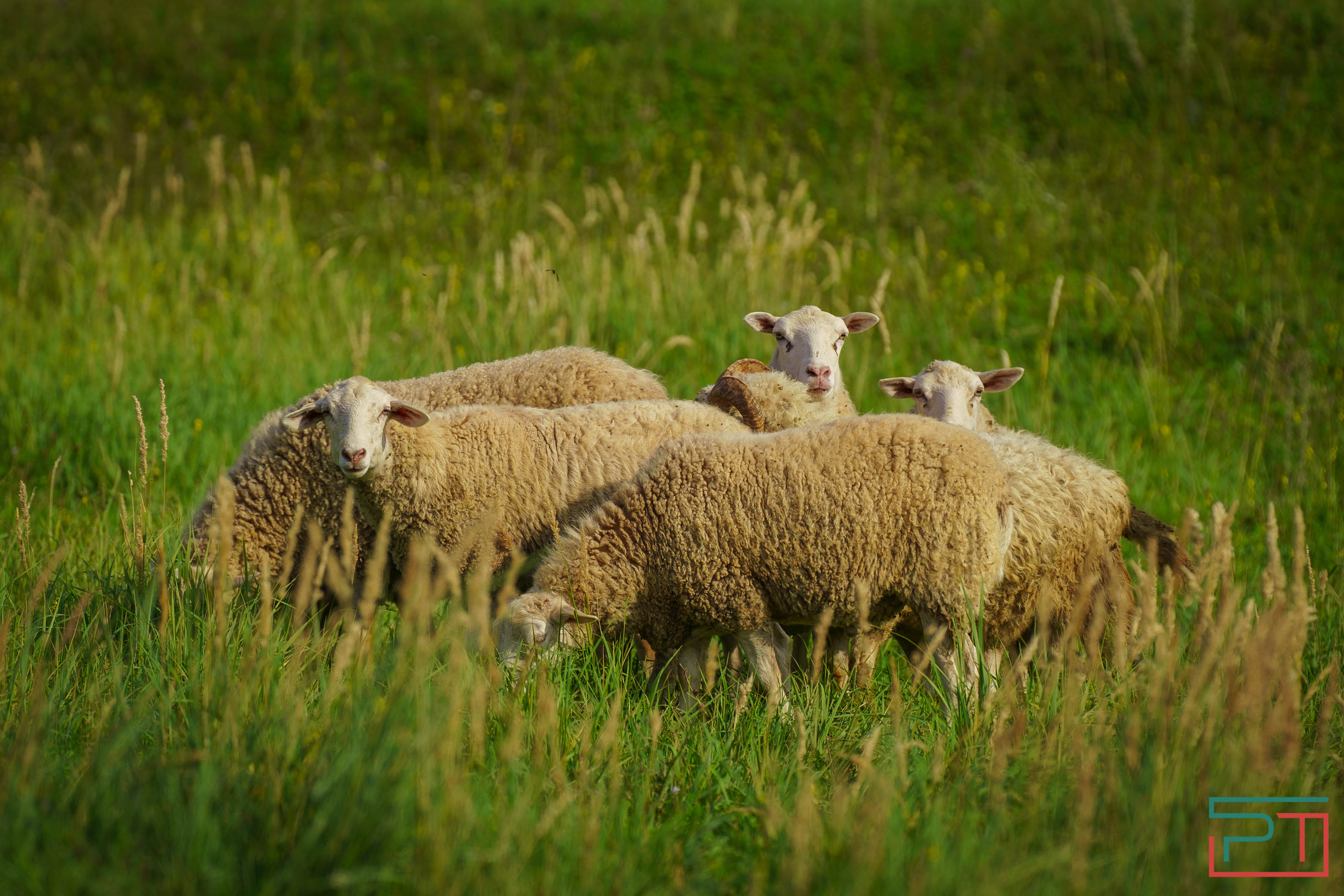 Путешествие по Волжской тропе