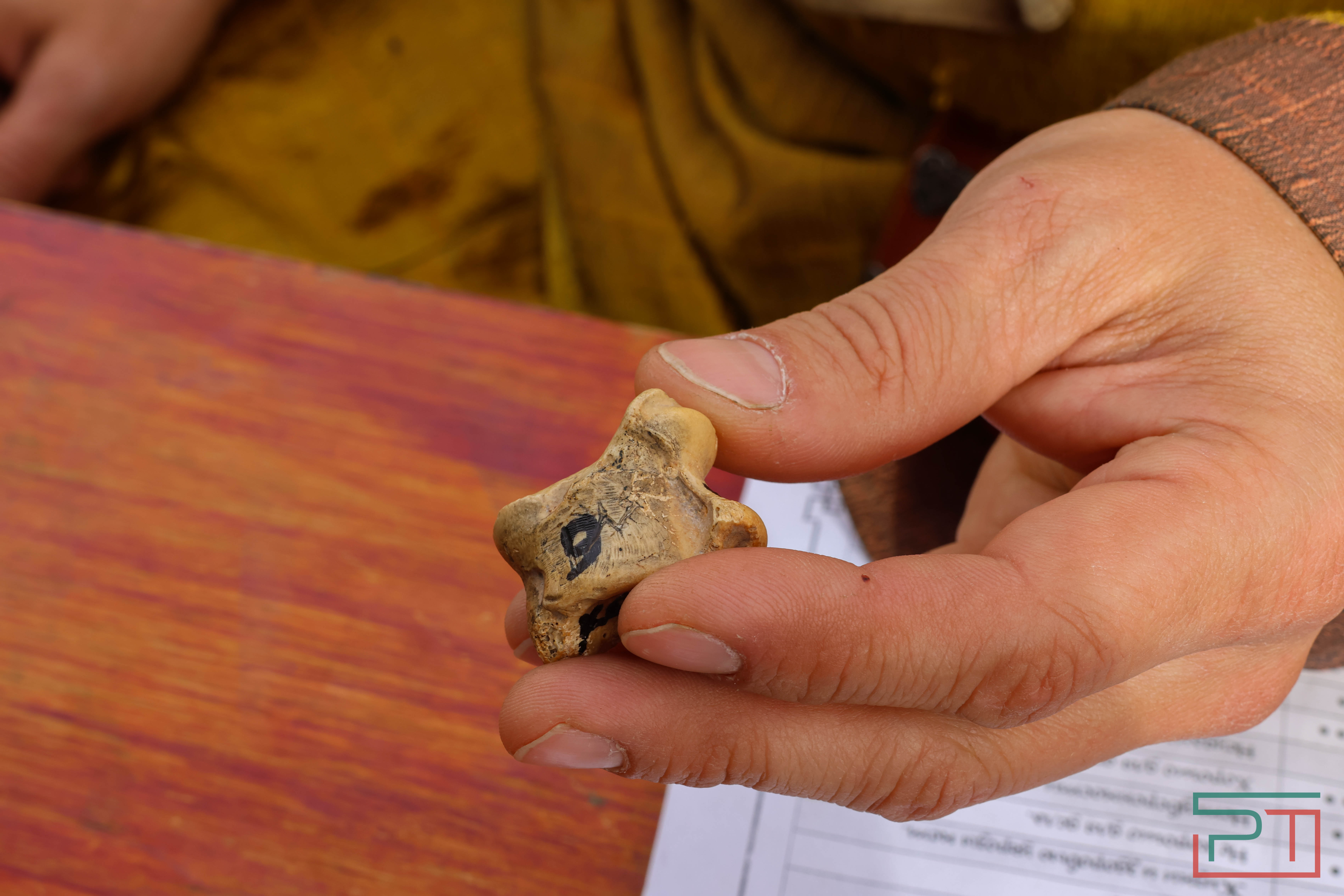 Постреляли из мушкета, погадали у шамана: в Болгаре прошел фестиваль «Путешествие в прошлое»