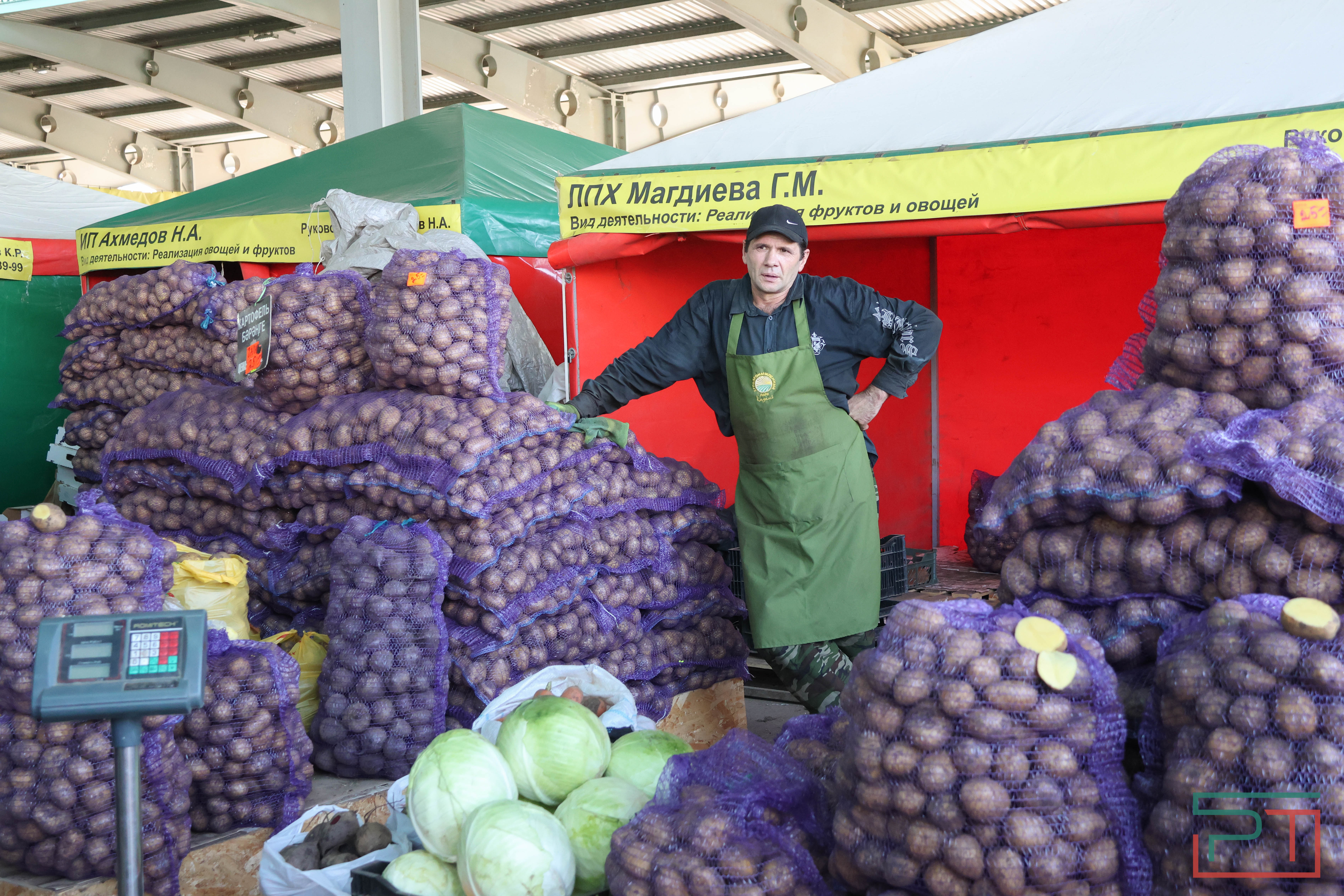 В Казани стартовали сельхозярмарки