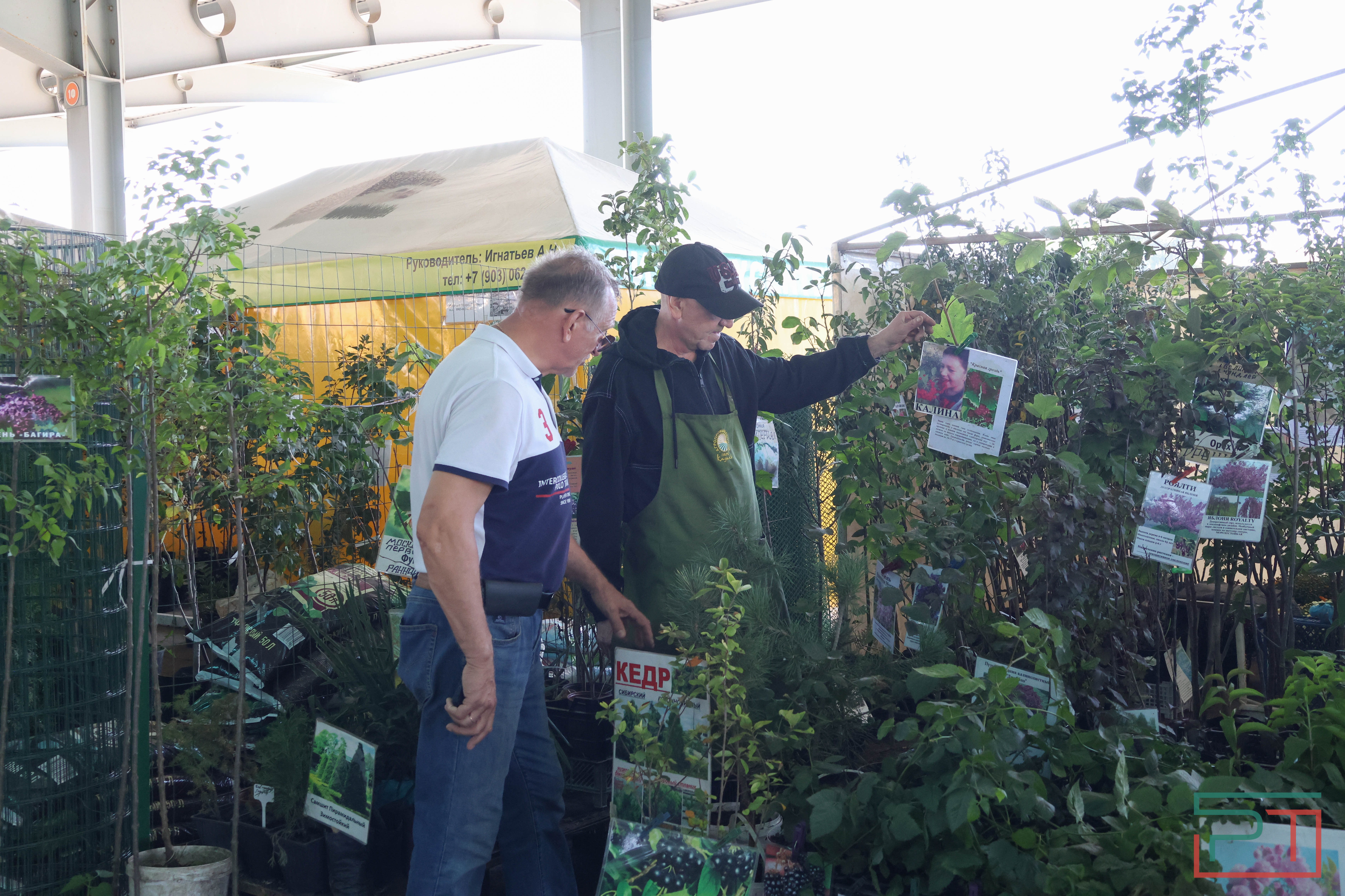 В Казани стартовали сельхозярмарки