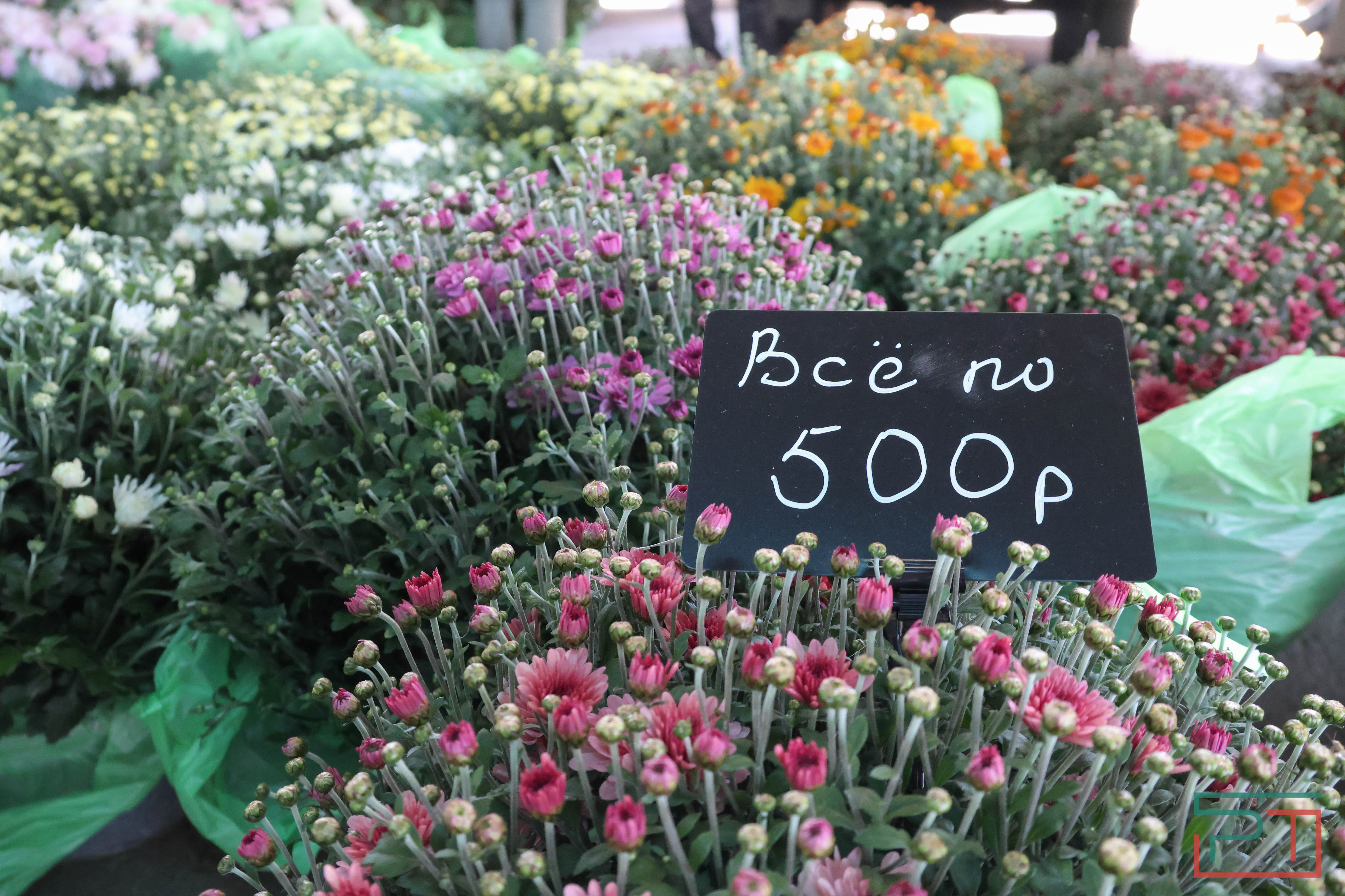 В Казани стартовали сельхозярмарки