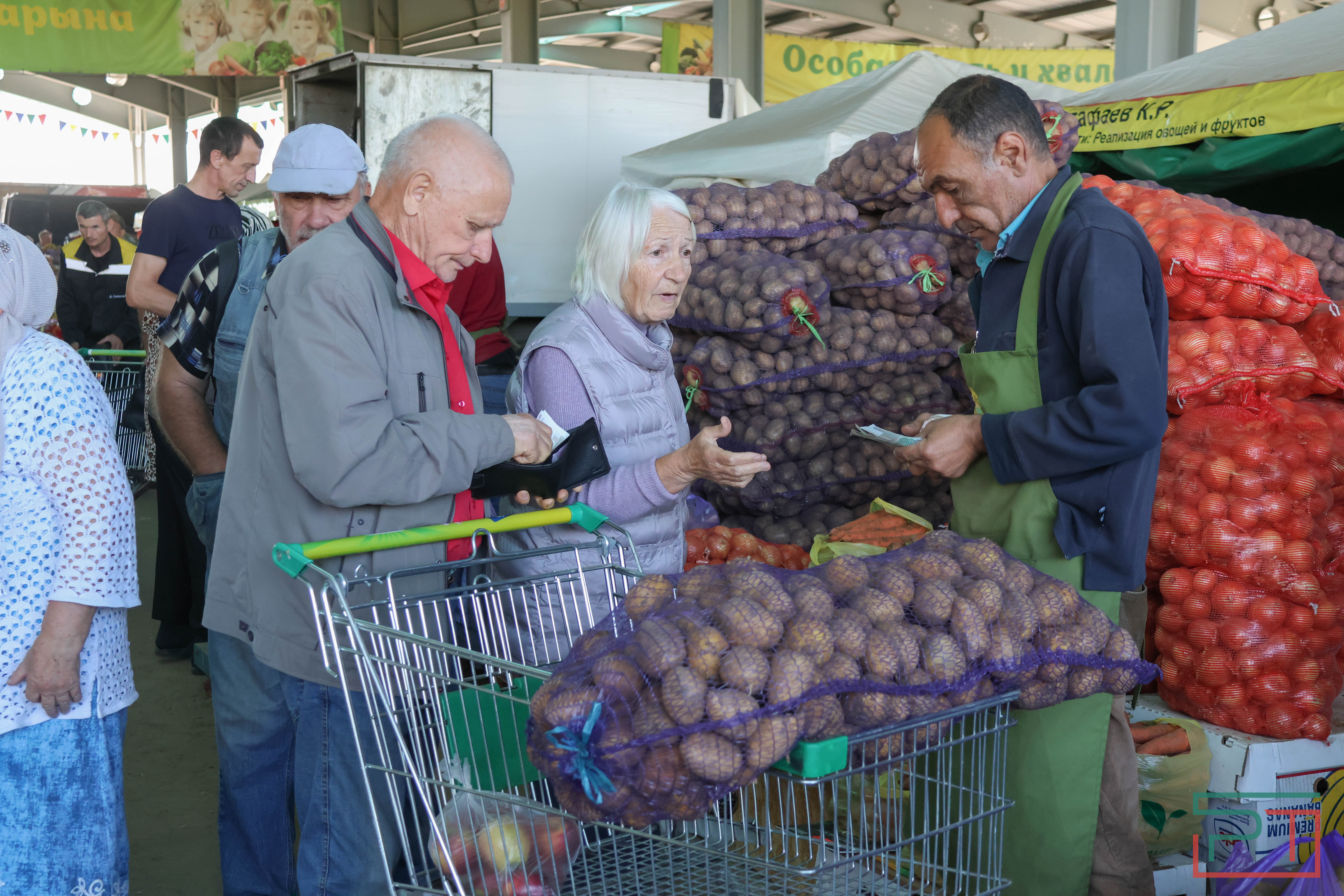 В Казани стартовали сельхозярмарки