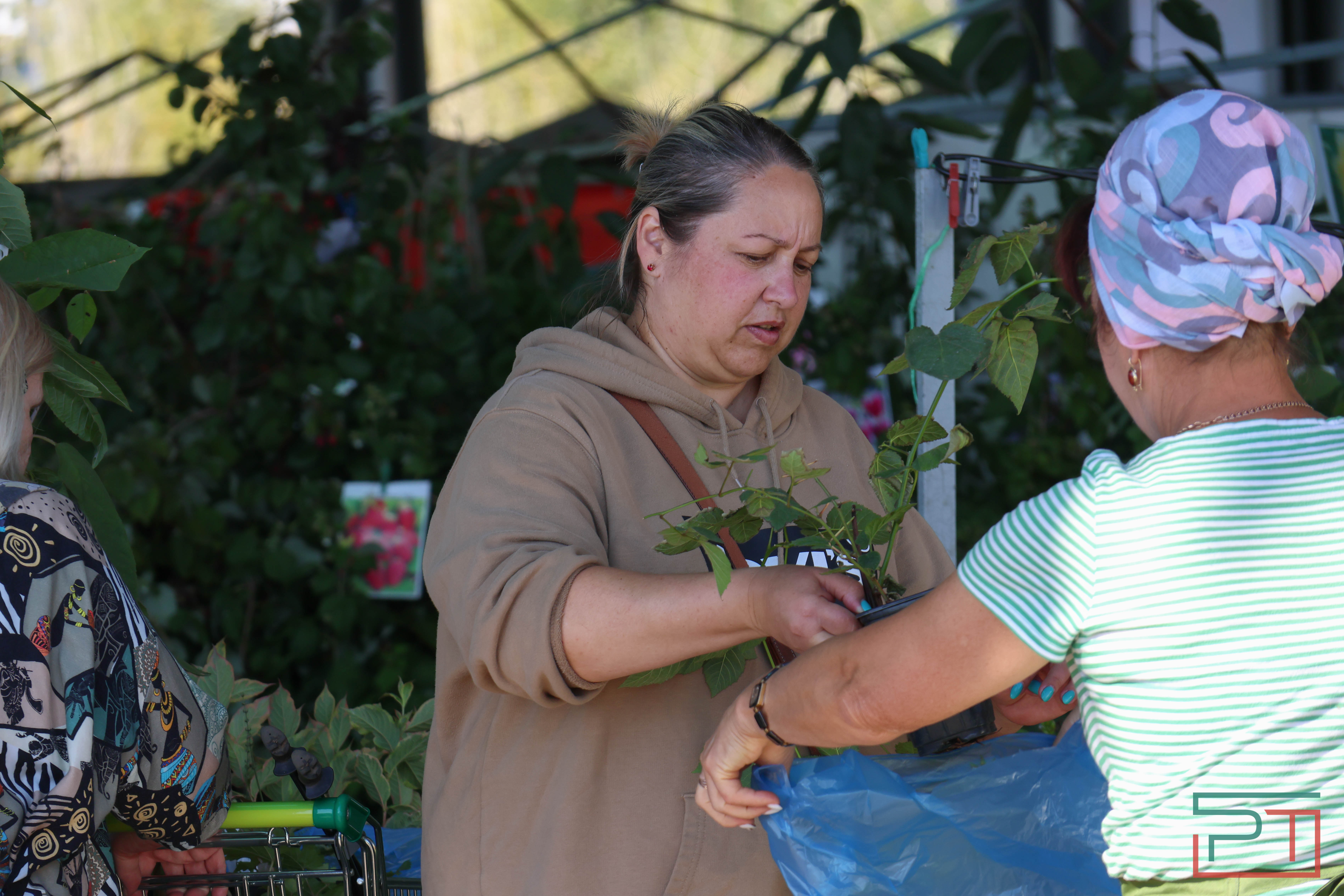 В Казани стартовали сельхозярмарки