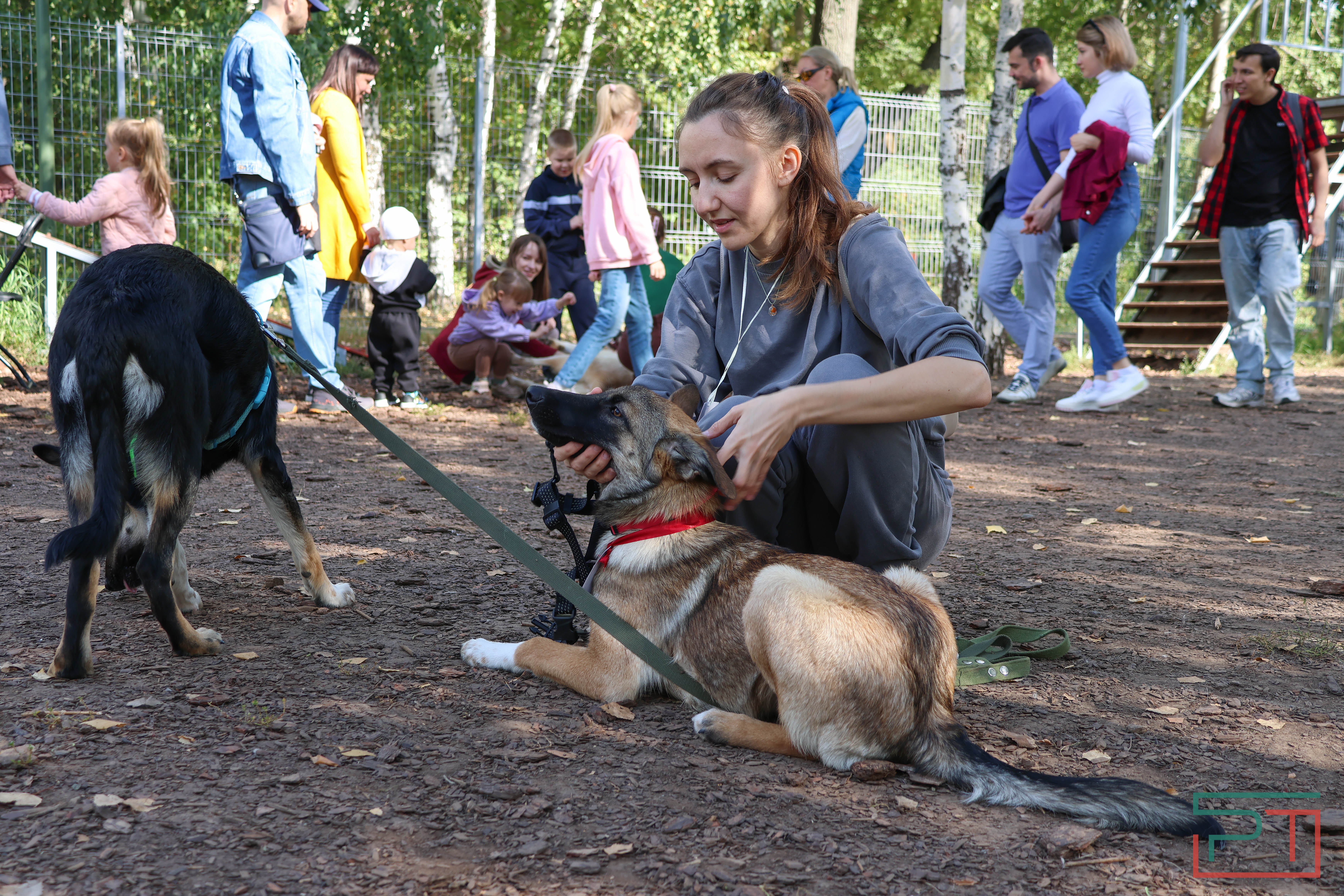 Акция «Лапа дружбы»