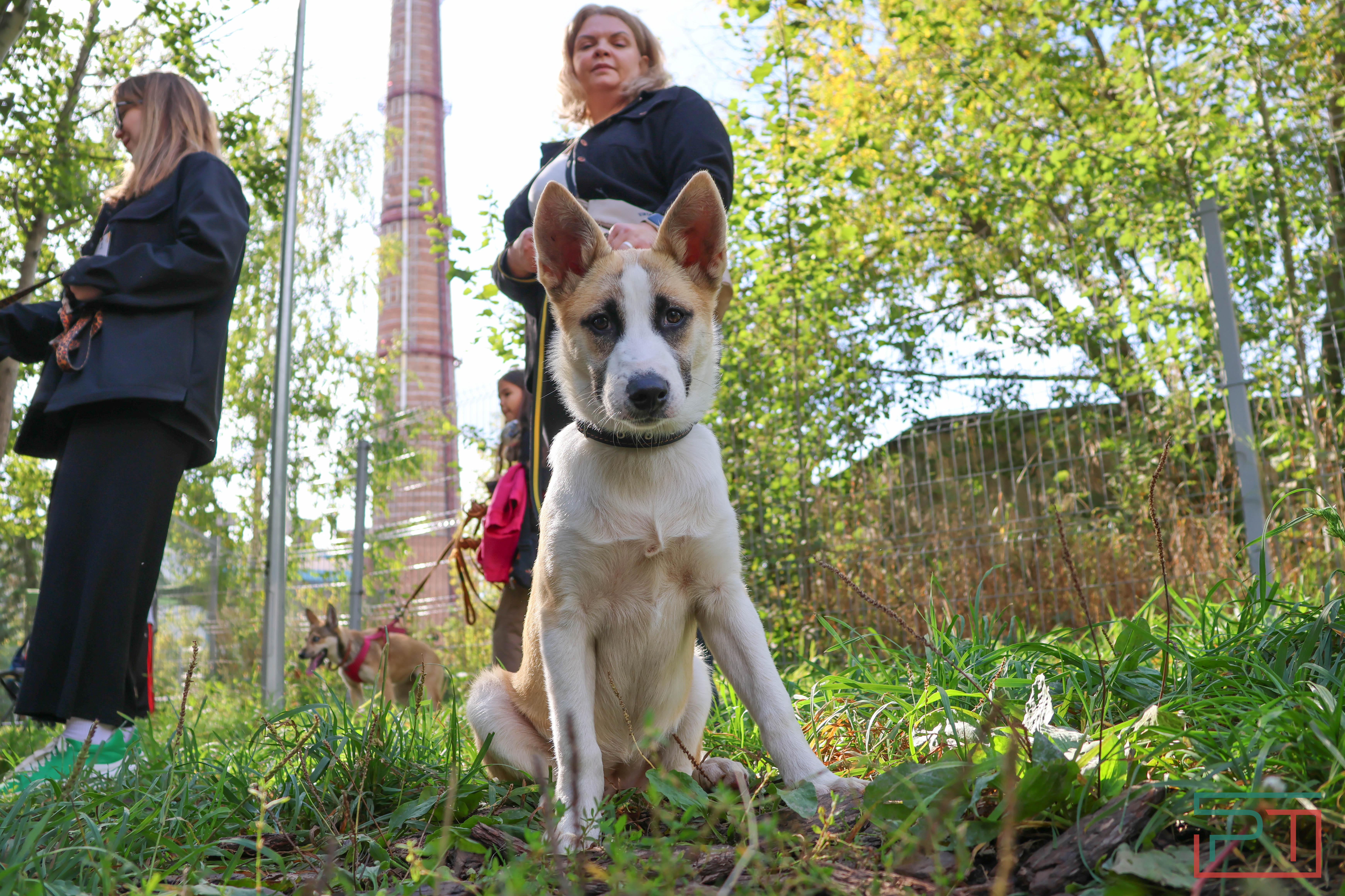 Акция «Лапа дружбы»