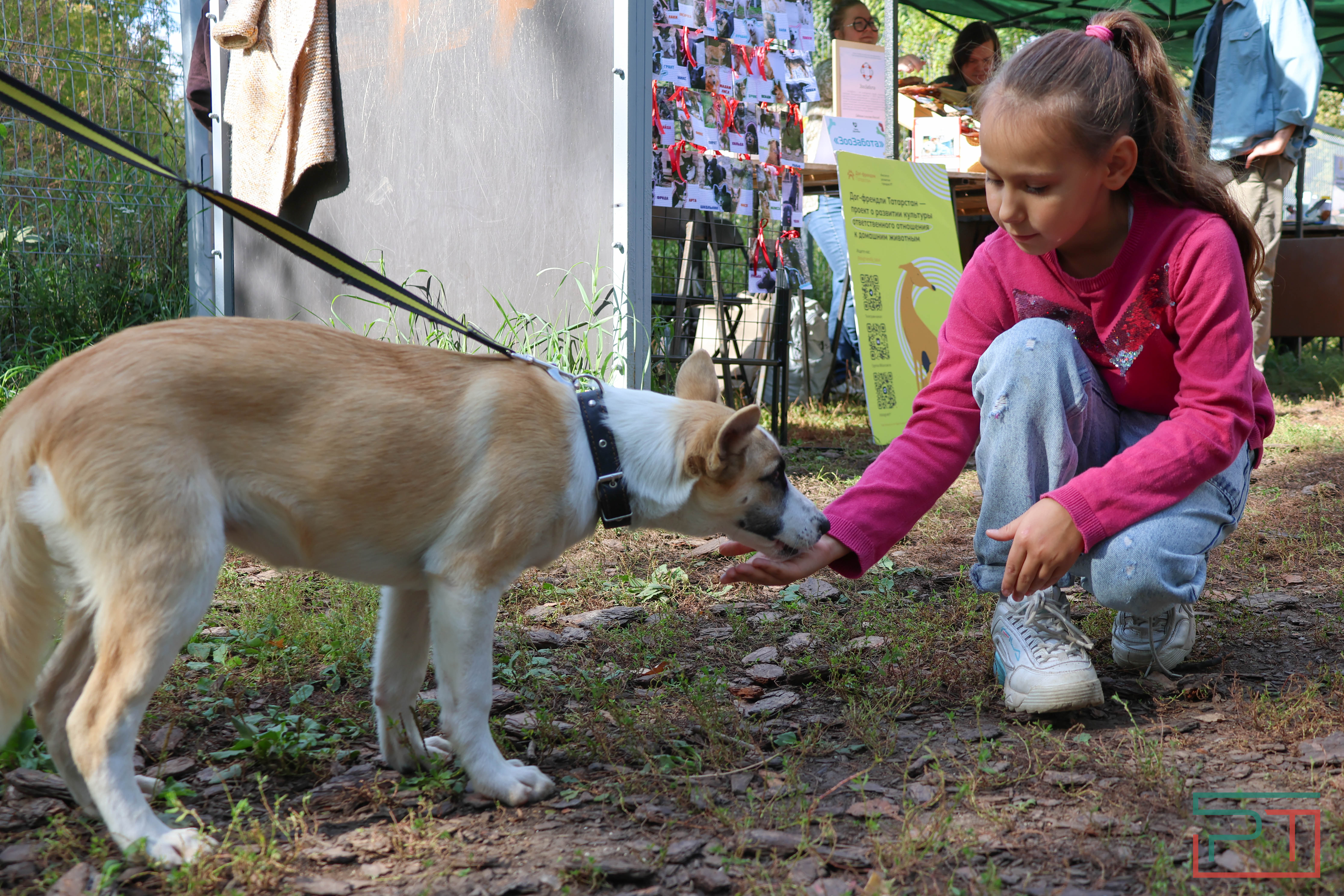 Акция «Лапа дружбы»