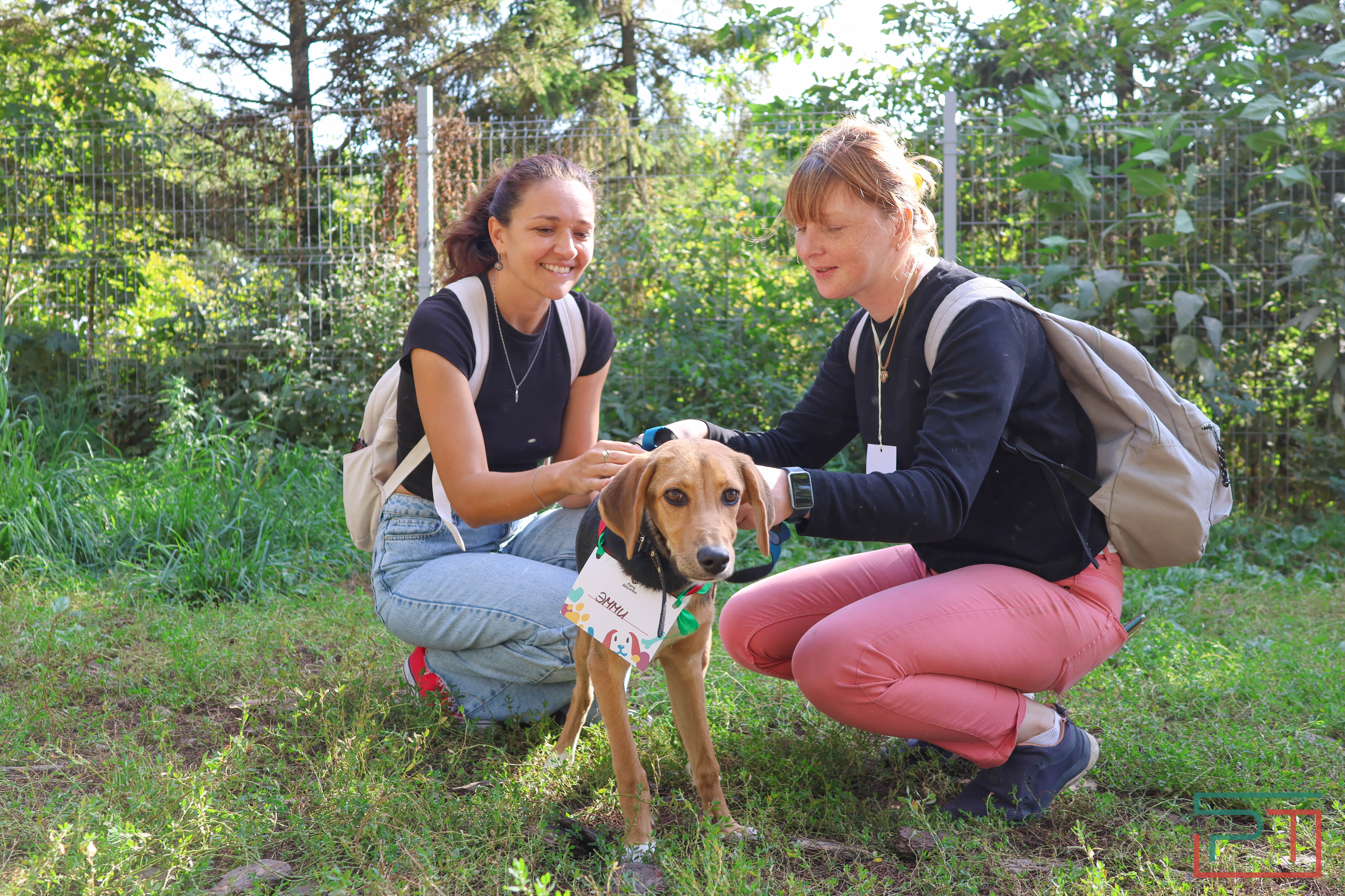 Акция «Лапа дружбы»