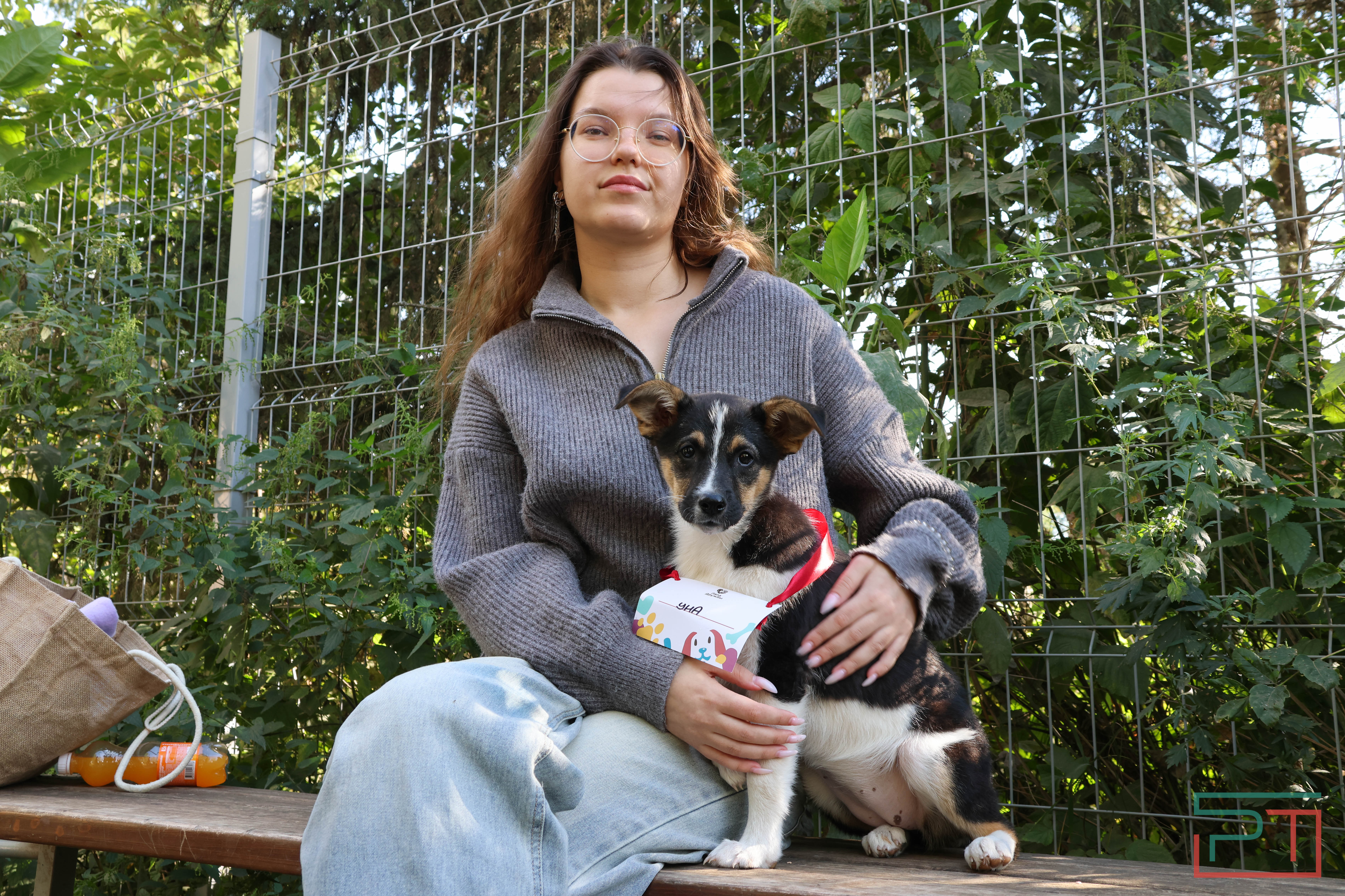 Акция «Лапа дружбы»