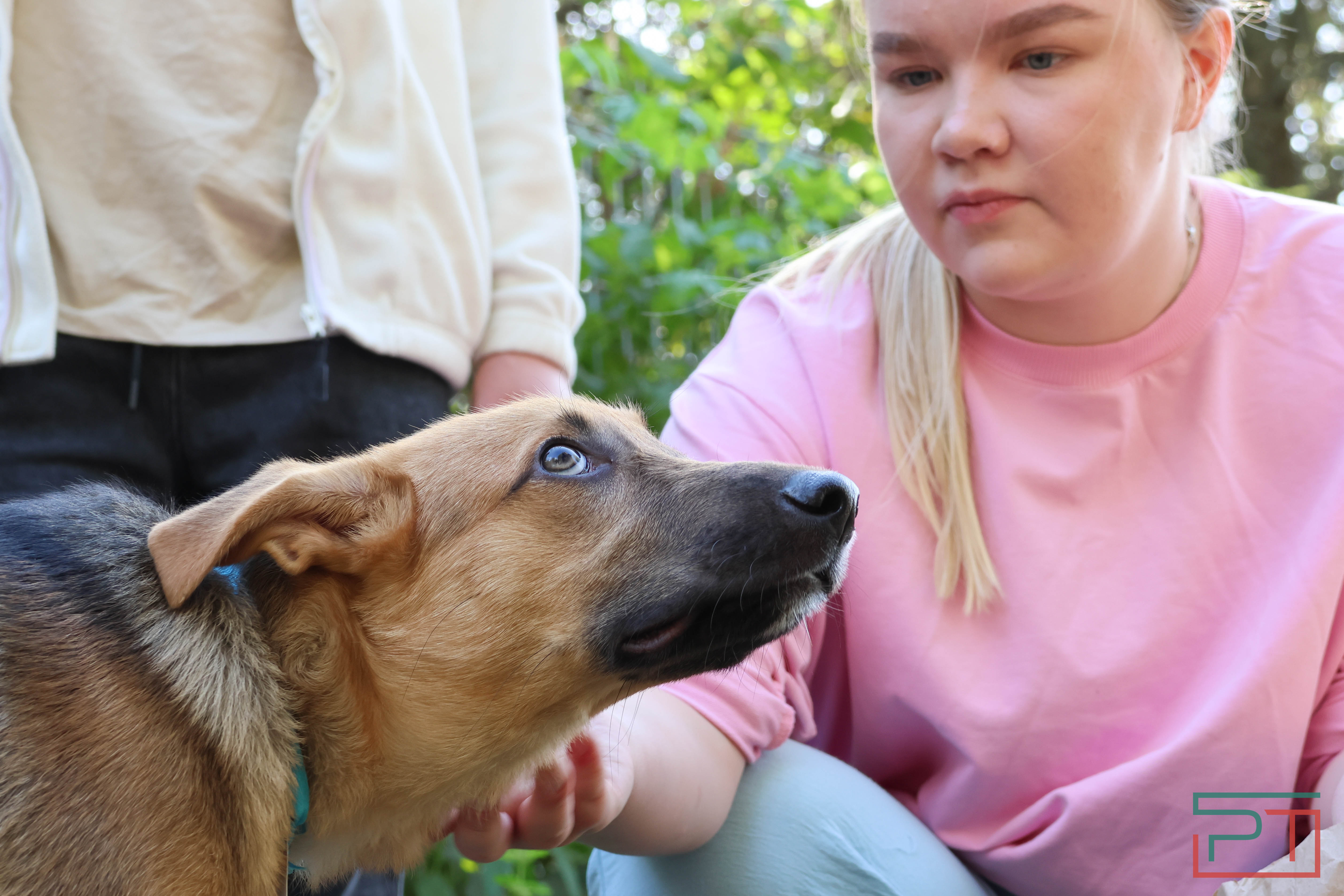 Акция «Лапа дружбы»