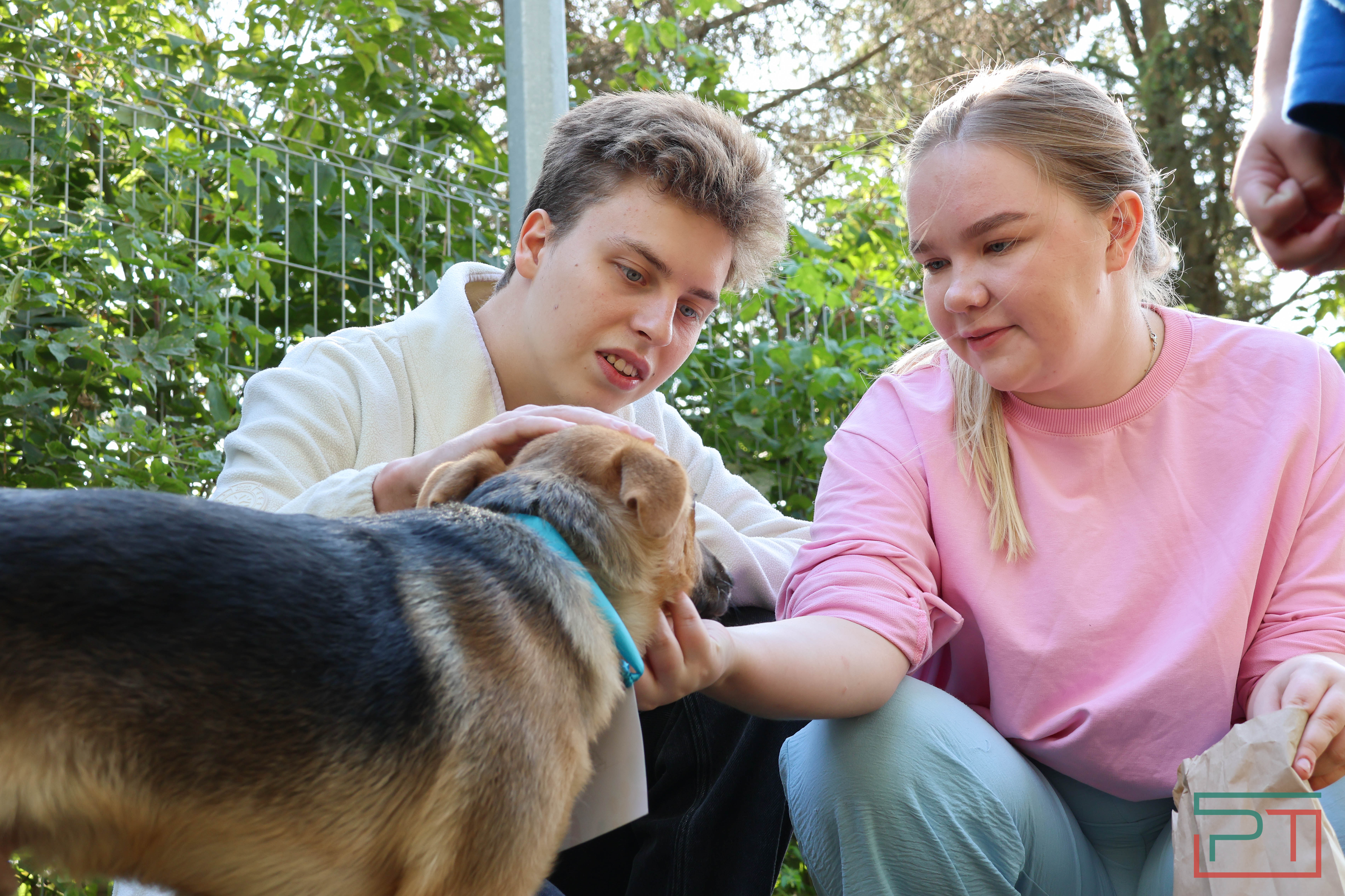 Акция «Лапа дружбы»