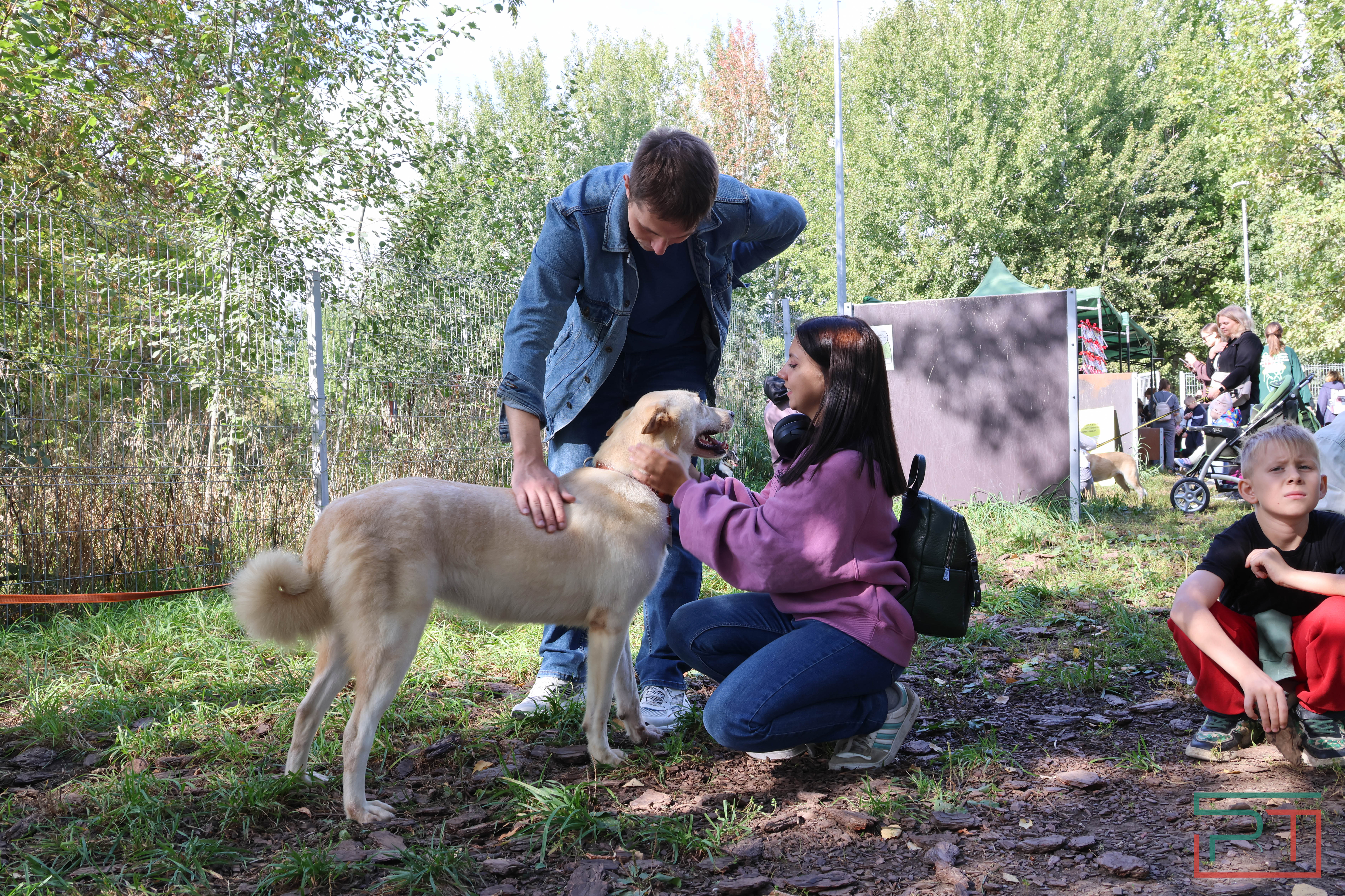 Акция «Лапа дружбы»