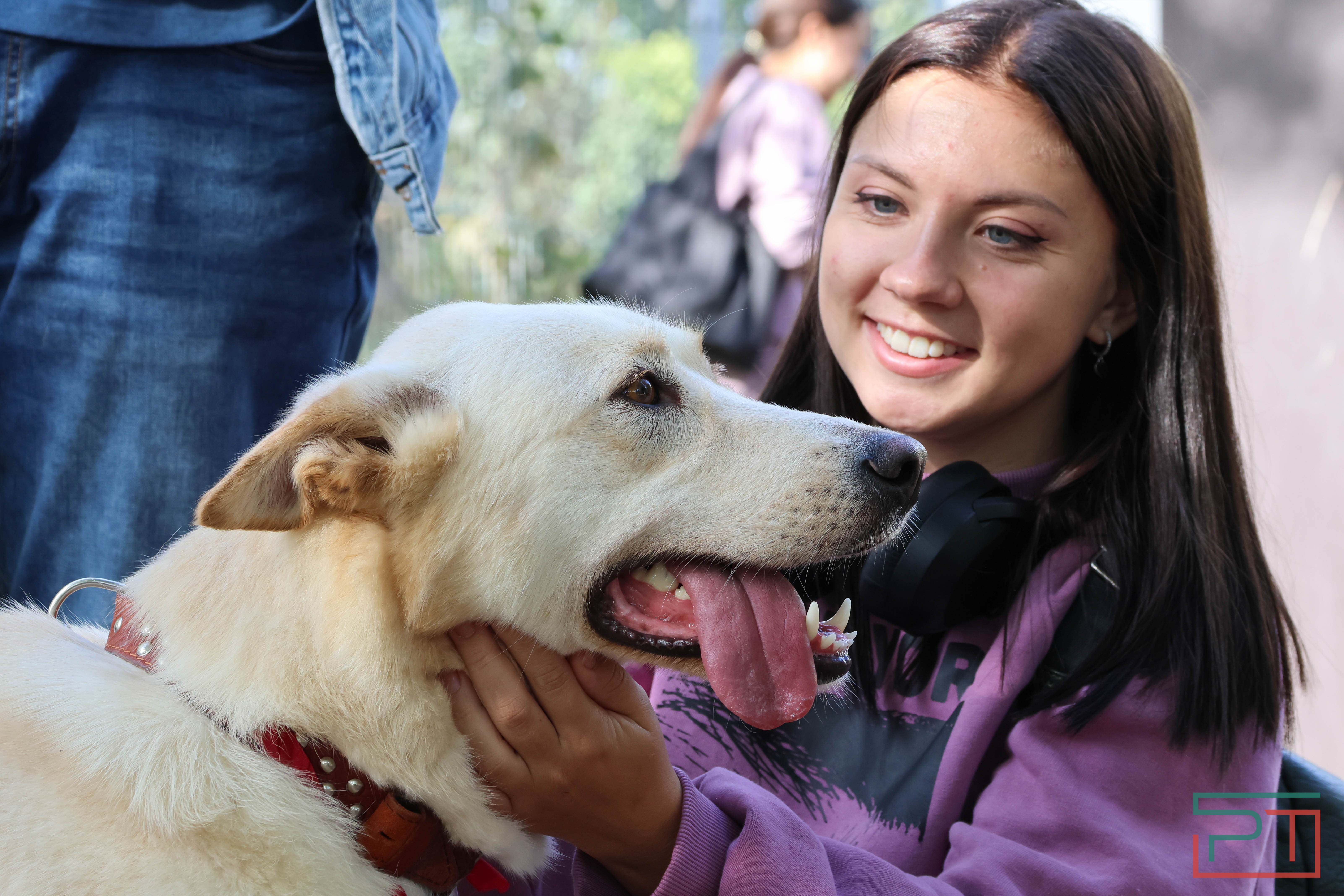 Акция «Лапа дружбы»