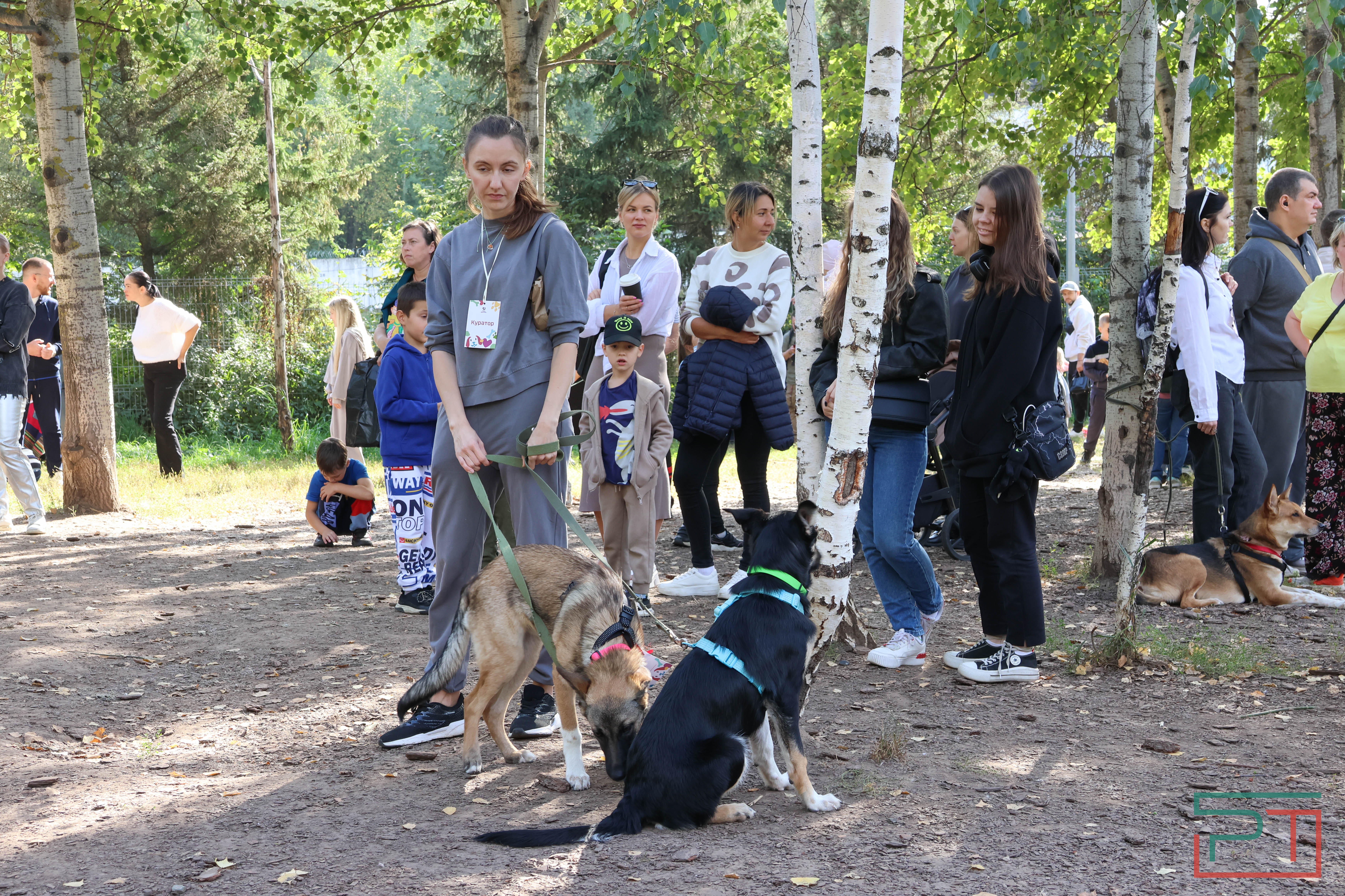 Акция «Лапа дружбы»