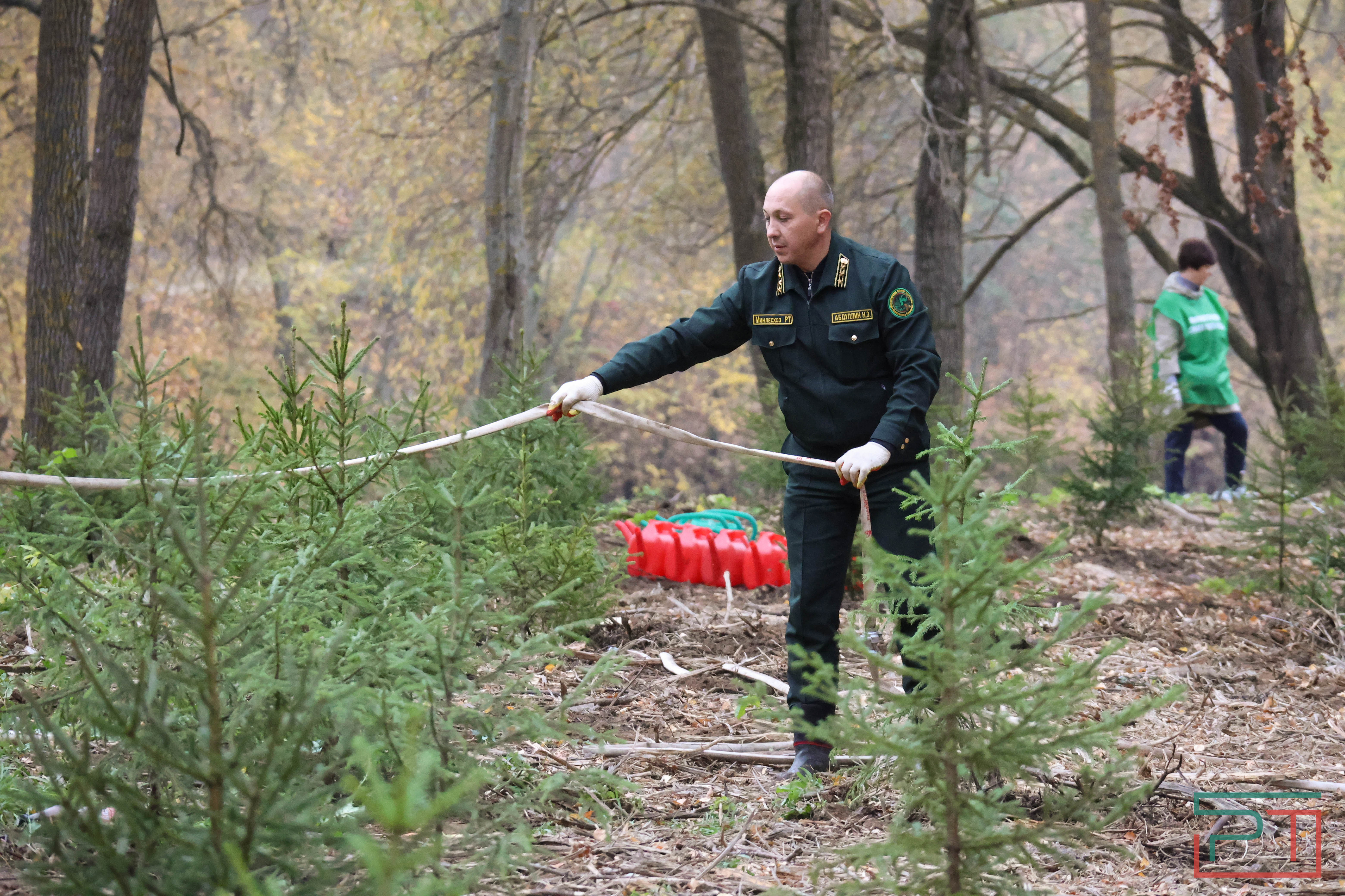 Акция «Сохраним лес»