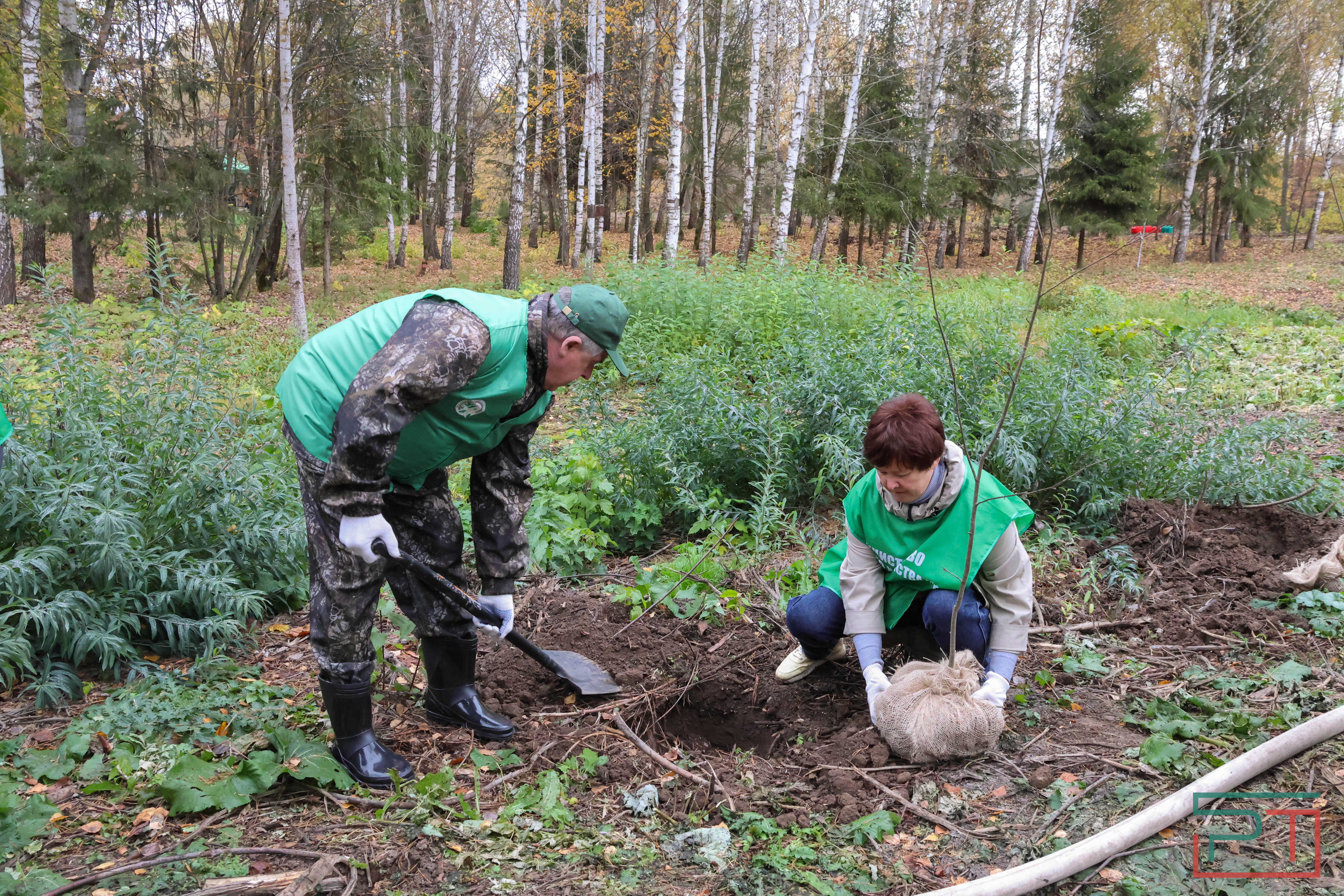 Акция «Сохраним лес»