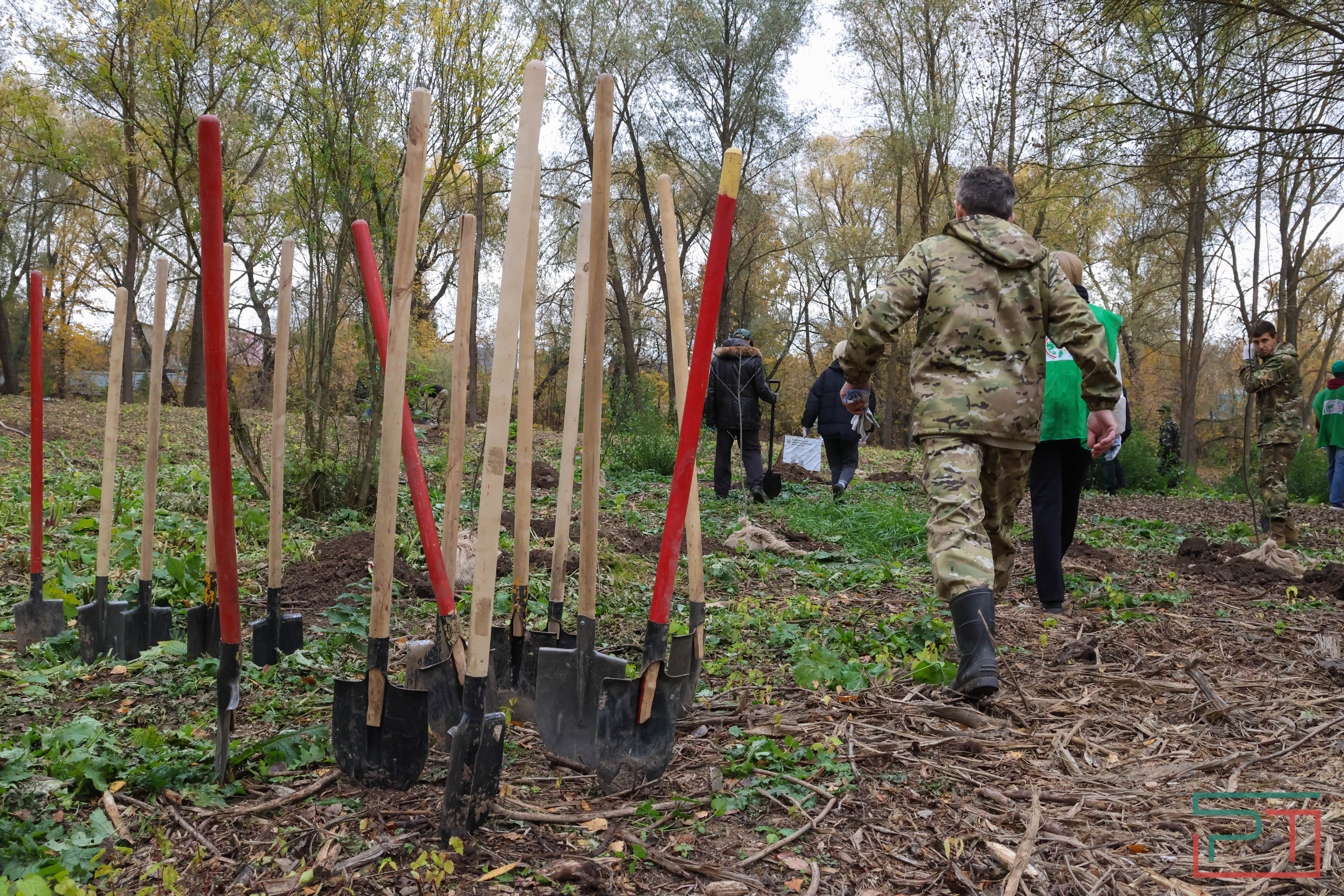 Акция «Сохраним лес»