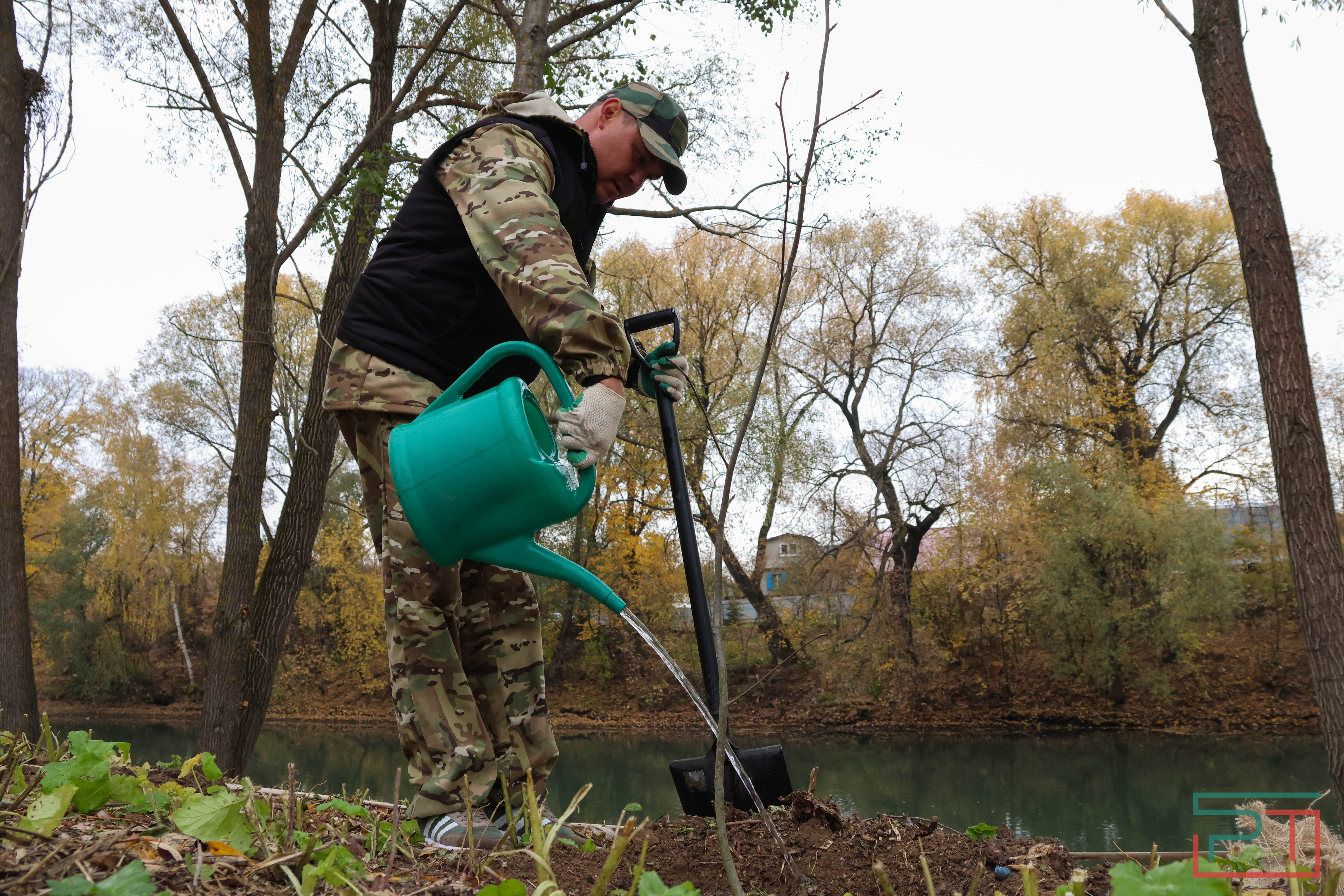 Акция «Сохраним лес»