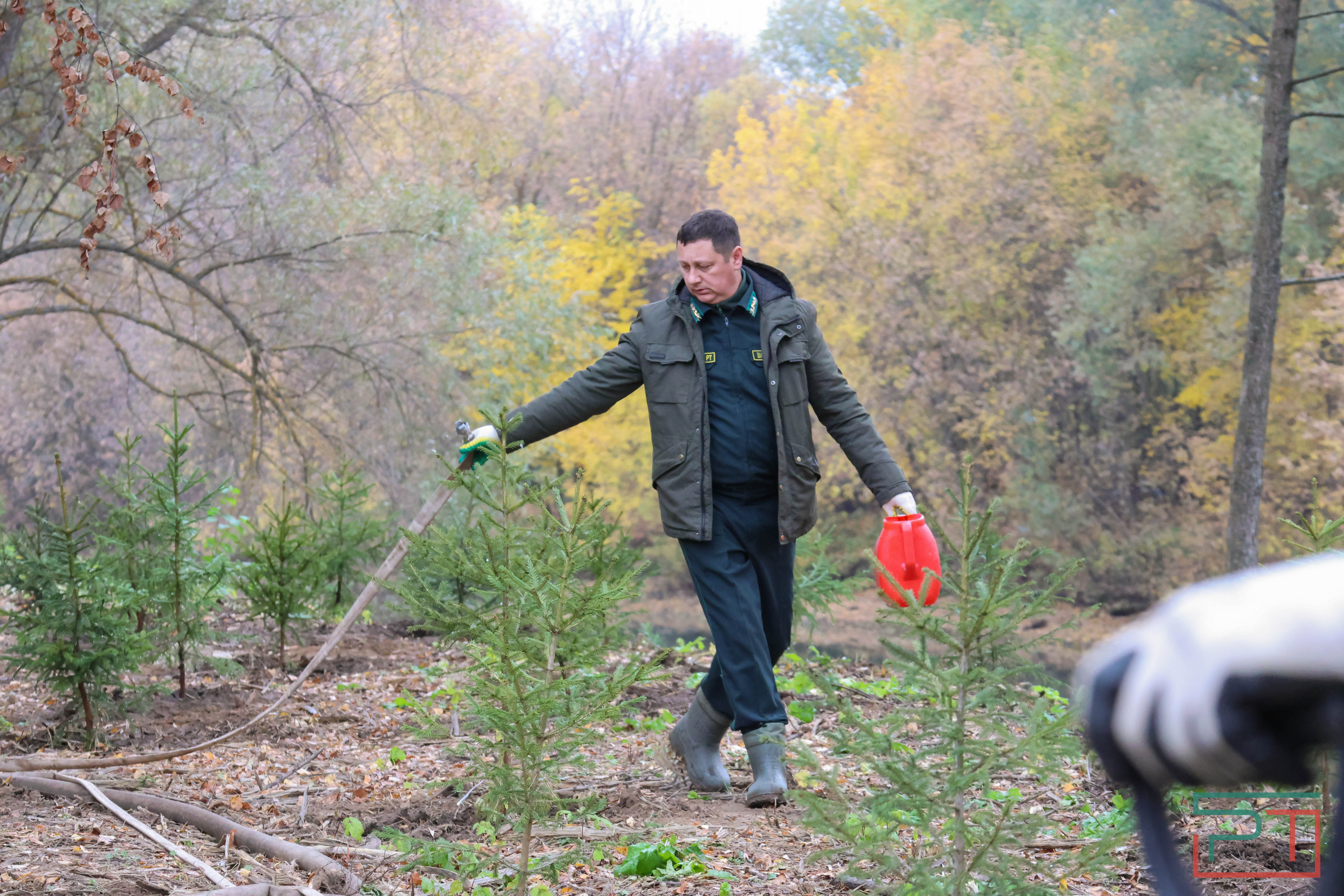 Акция «Сохраним лес»