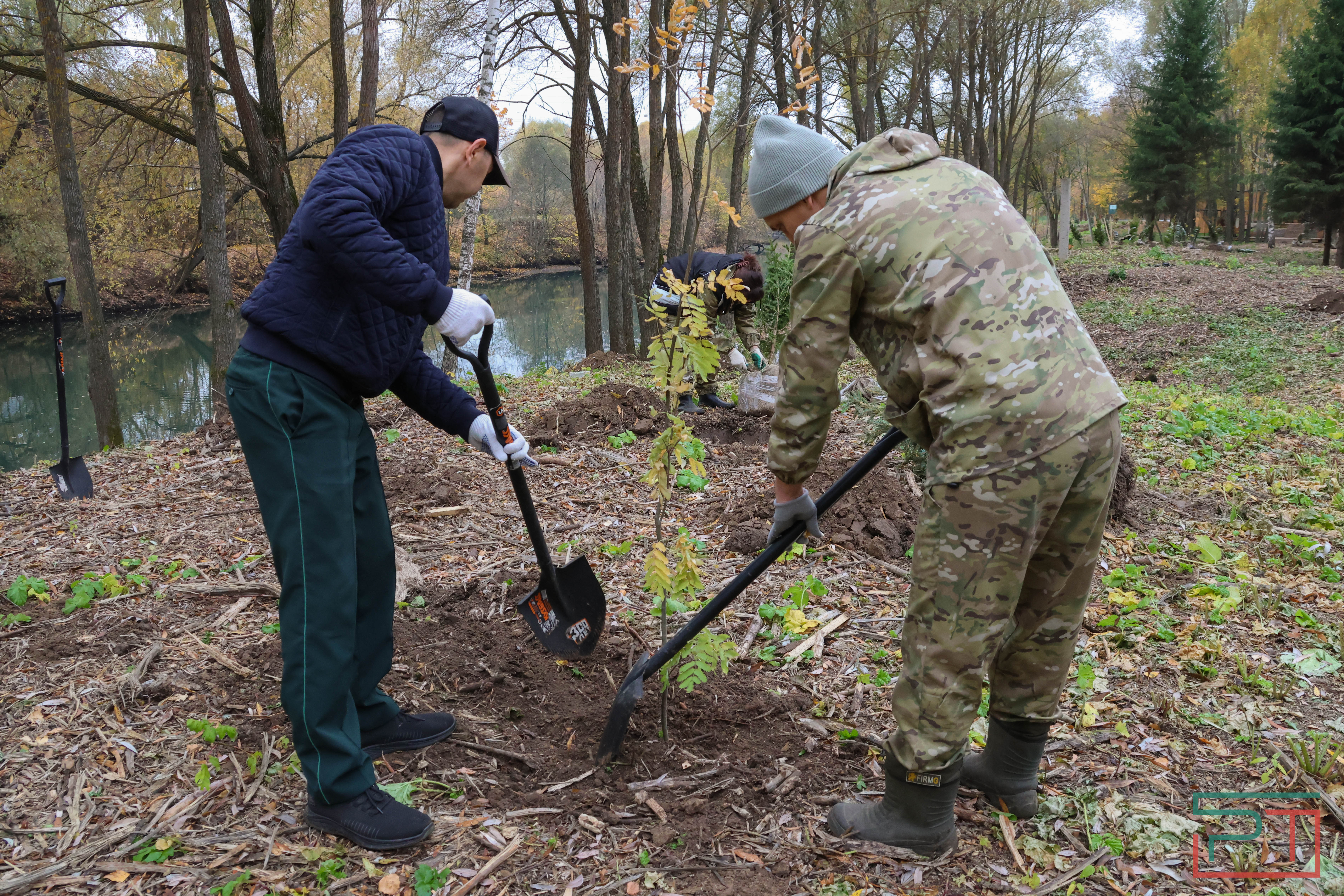 Акция «Сохраним лес»