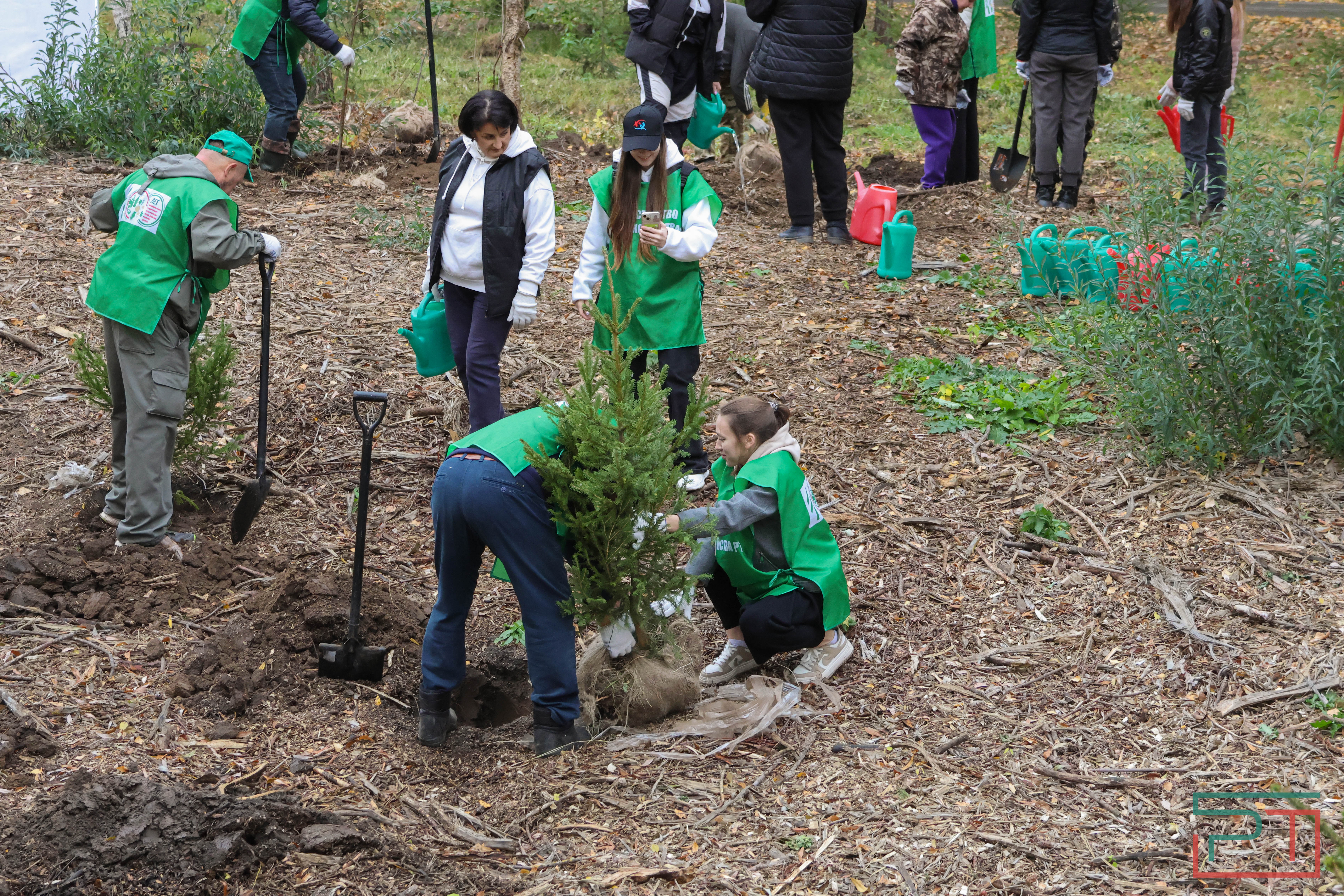 Акция «Сохраним лес»