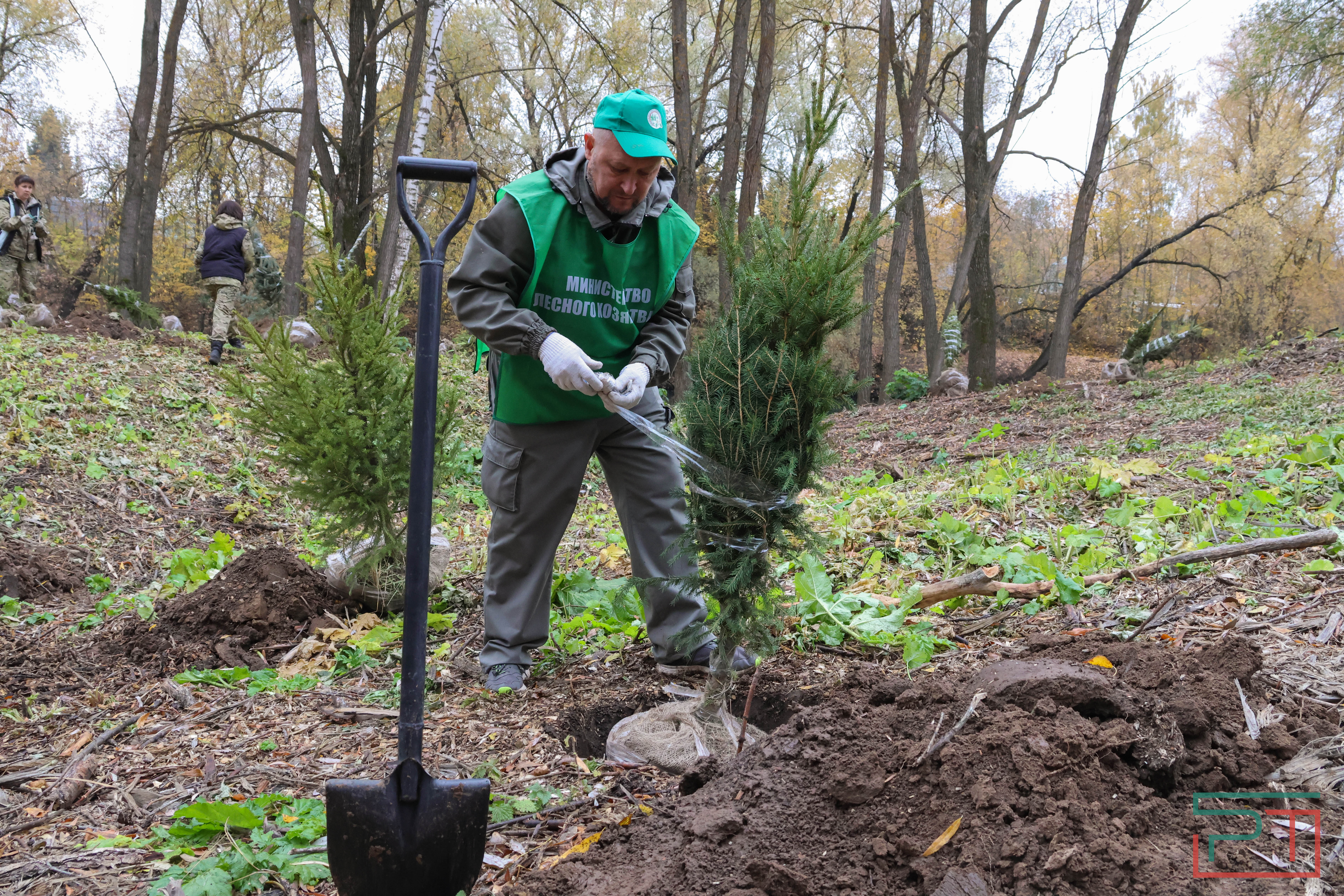 Акция «Сохраним лес»