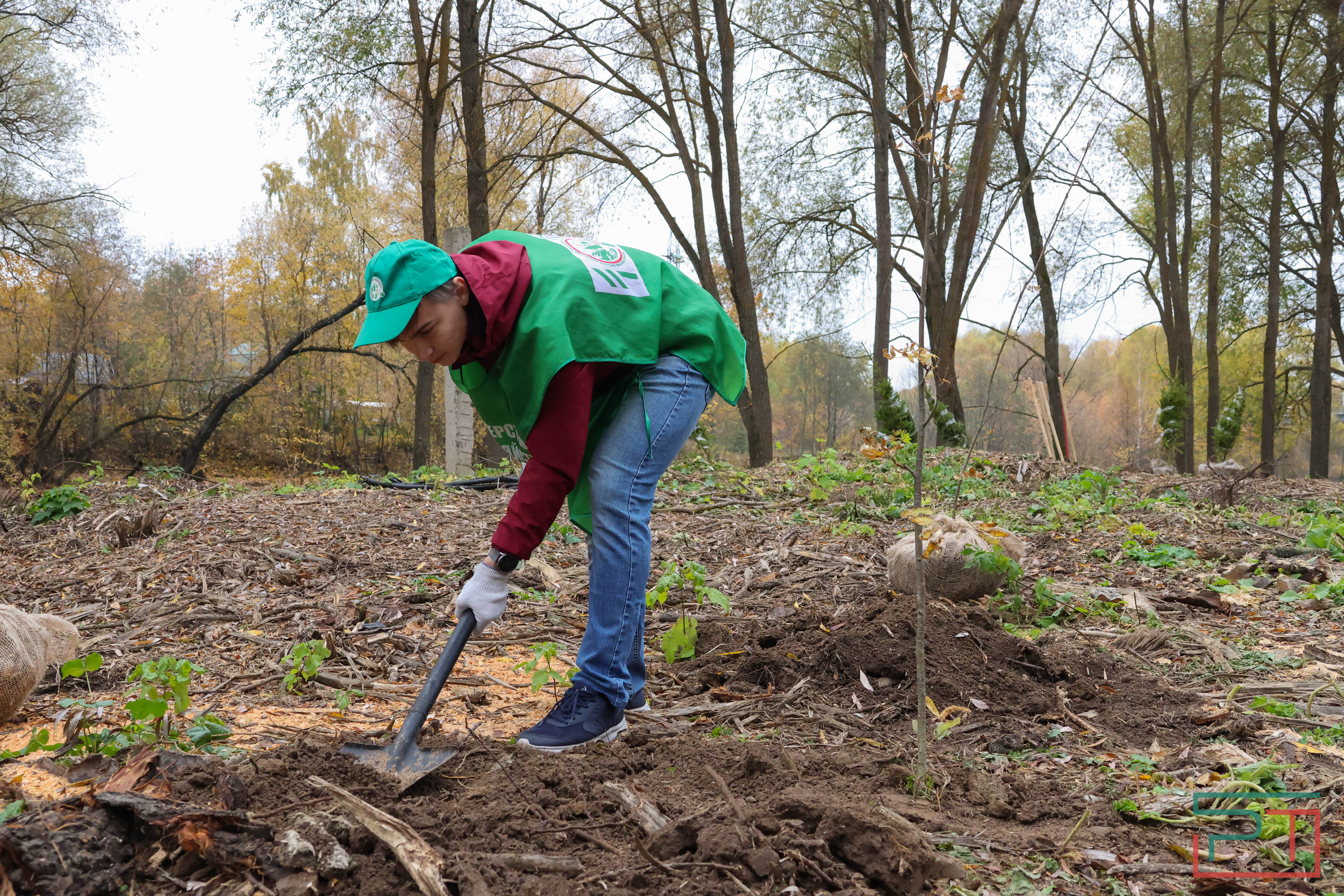 Акция «Сохраним лес»