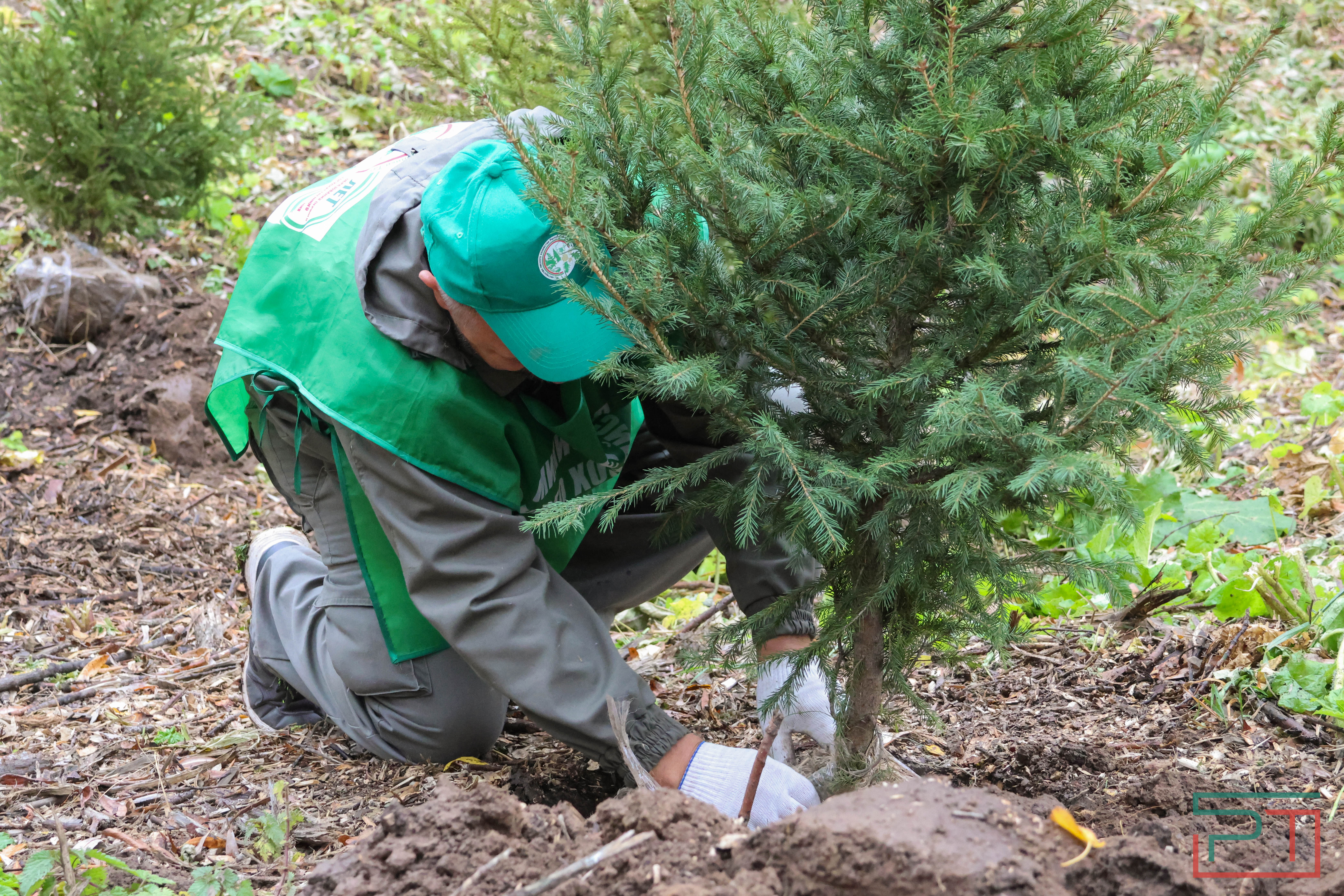Акция «Сохраним лес»
