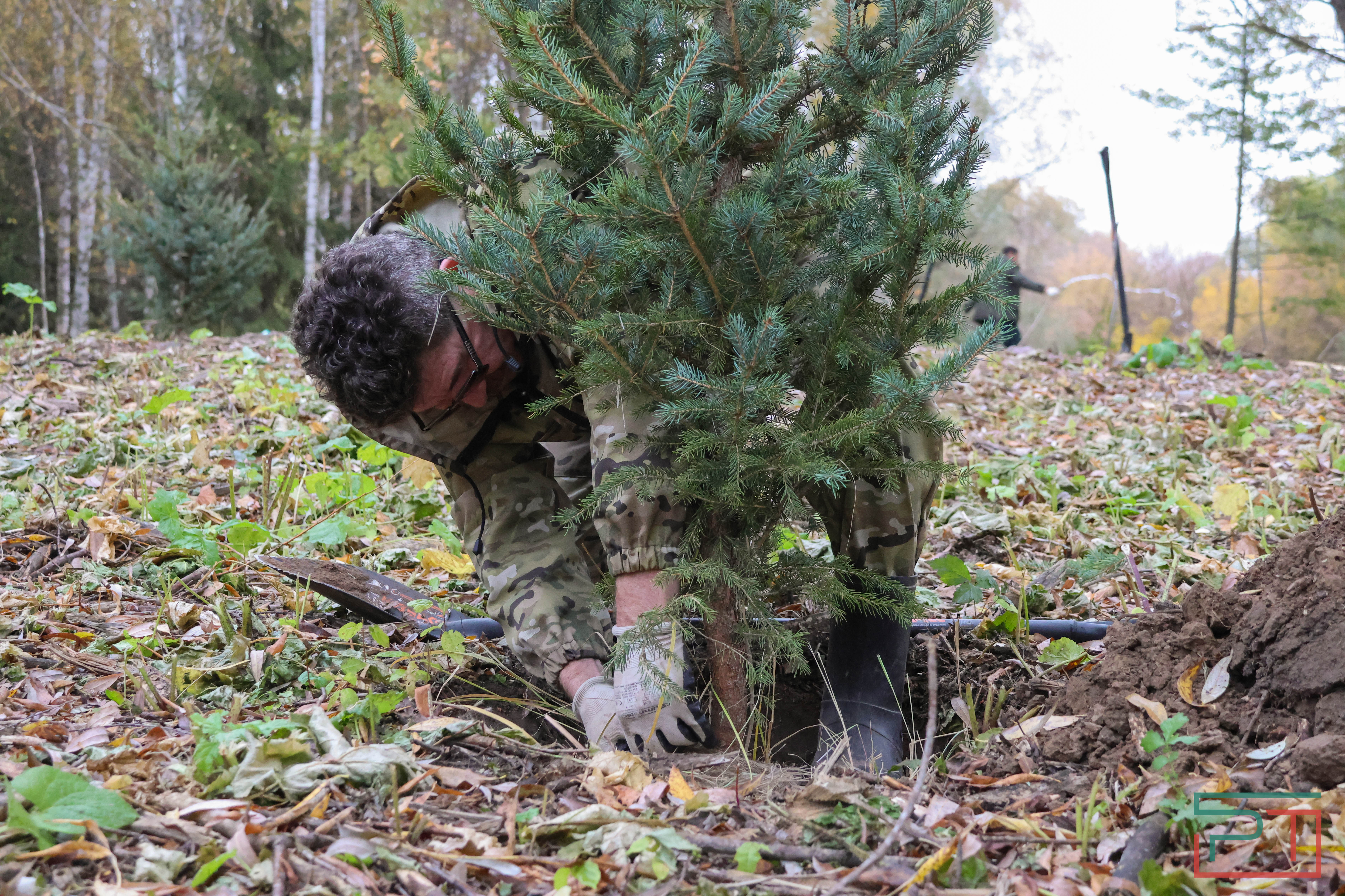 Акция «Сохраним лес»