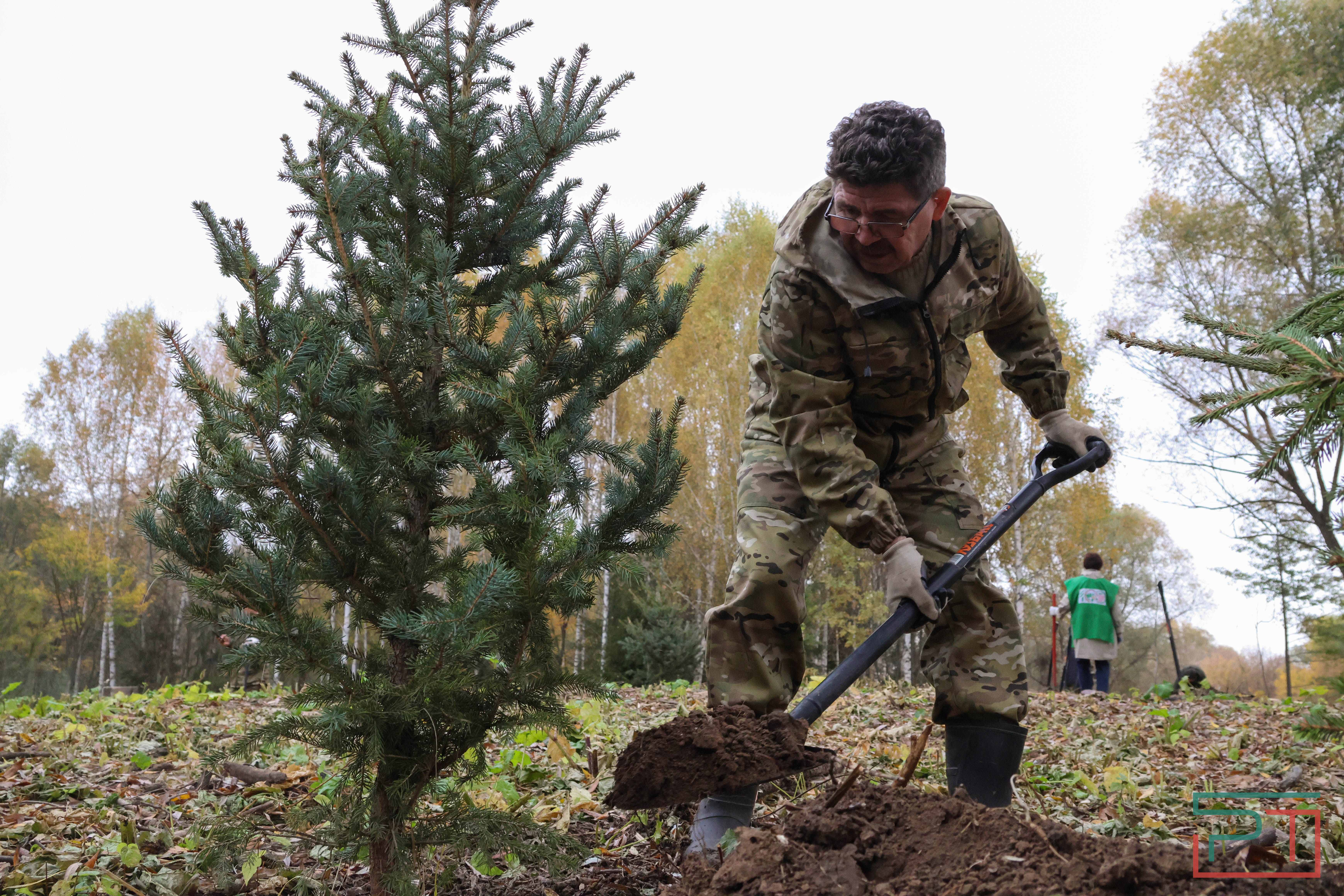 Акция «Сохраним лес»