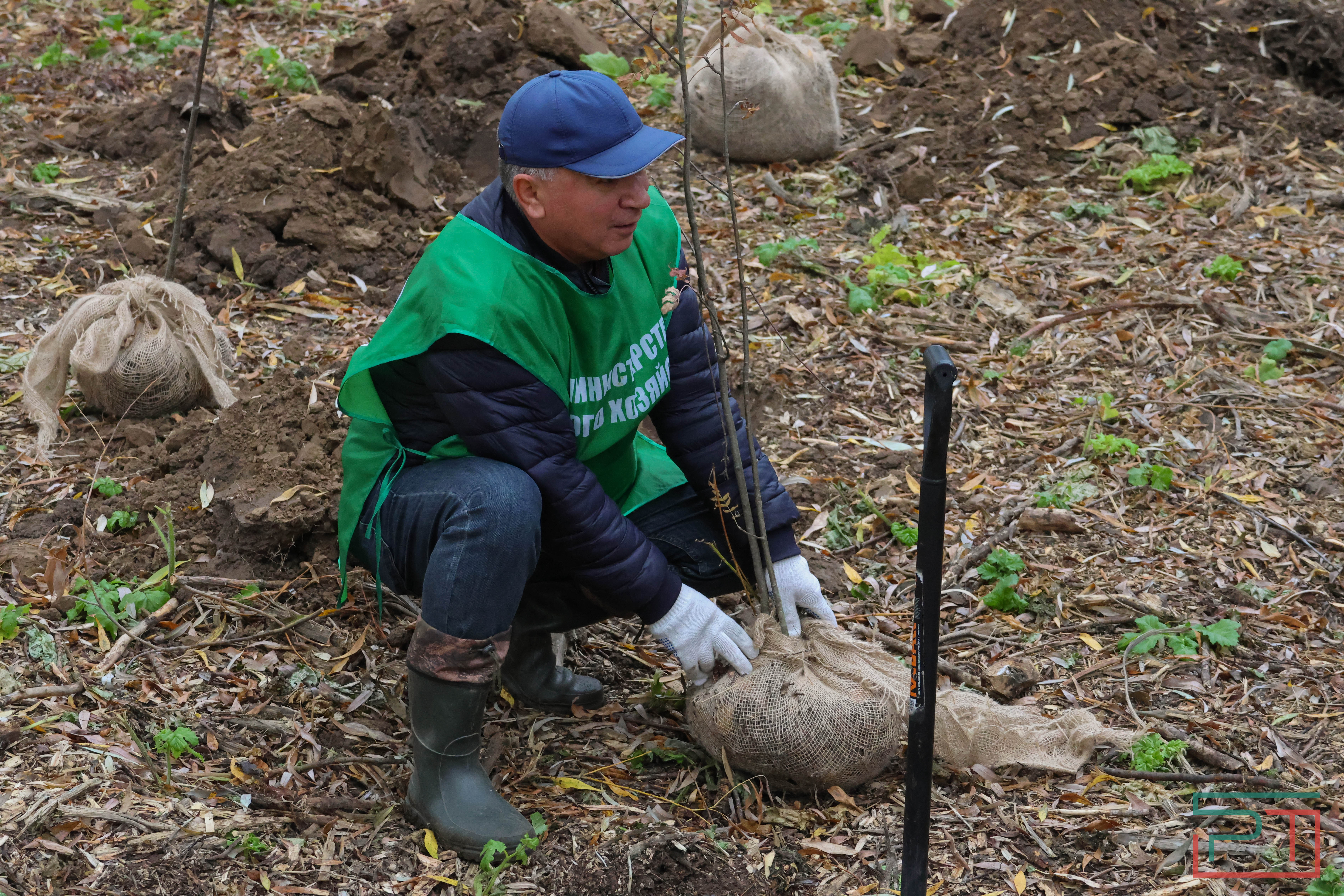 Акция «Сохраним лес»