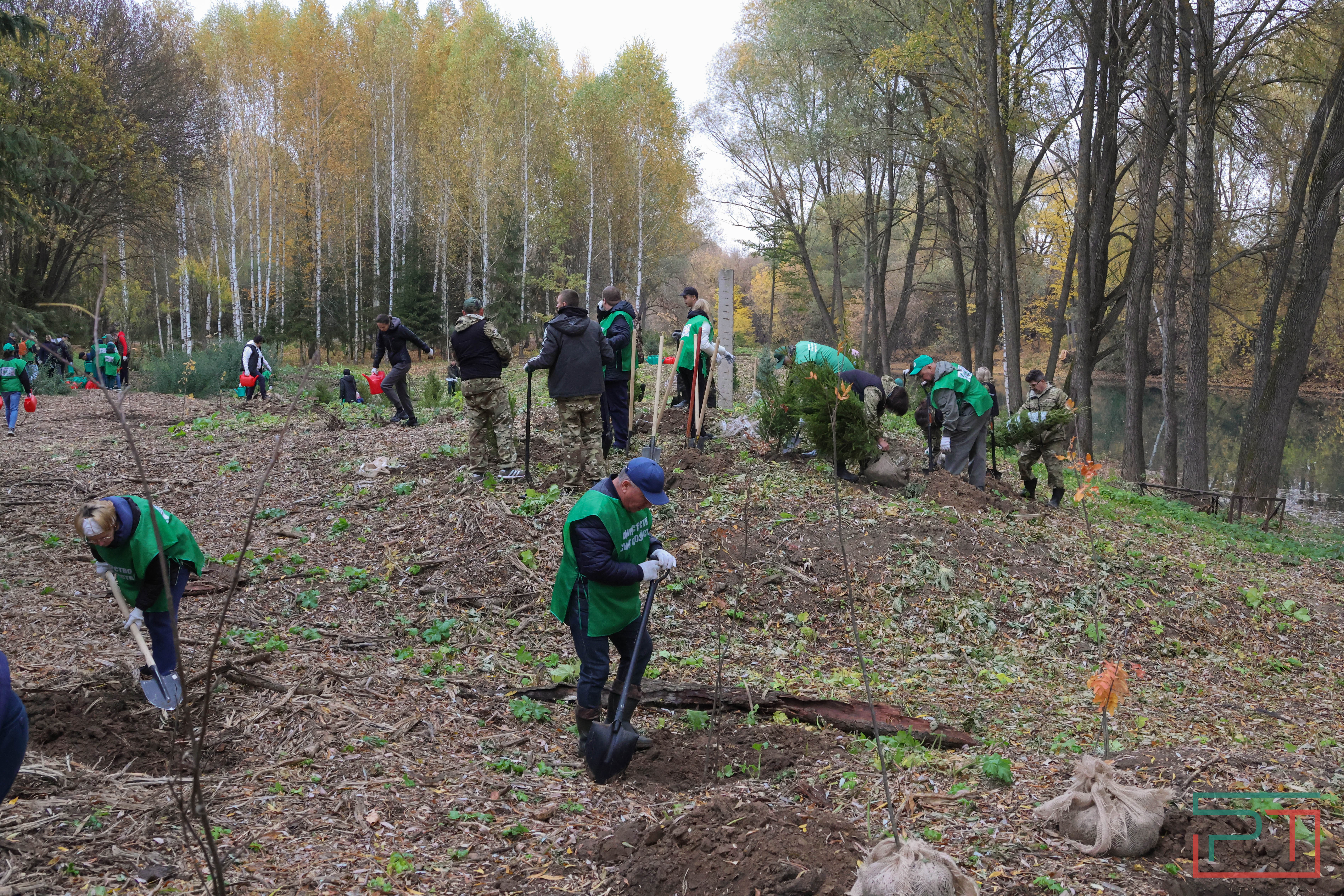 Акция «Сохраним лес»