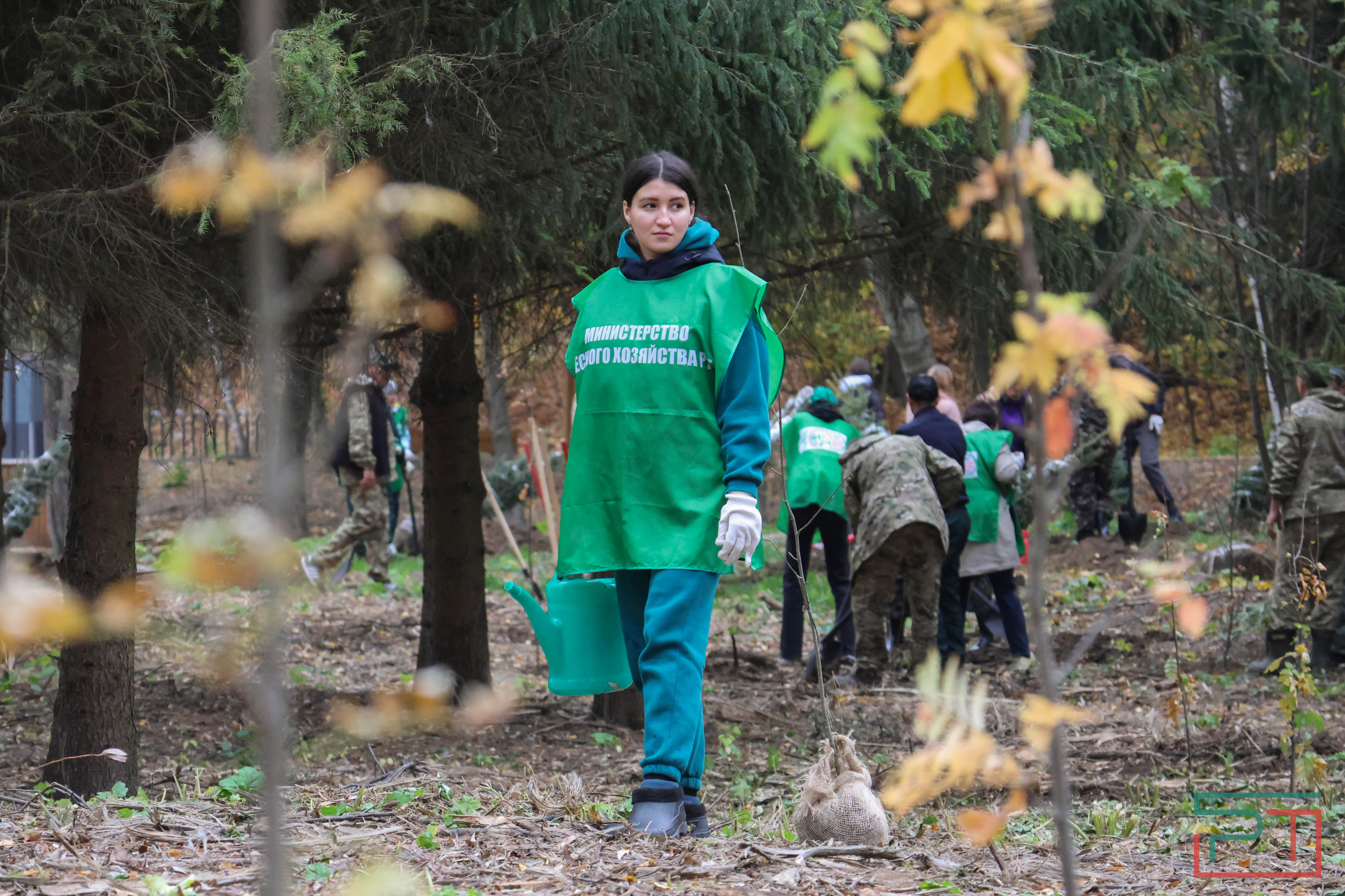Акция «Сохраним лес»