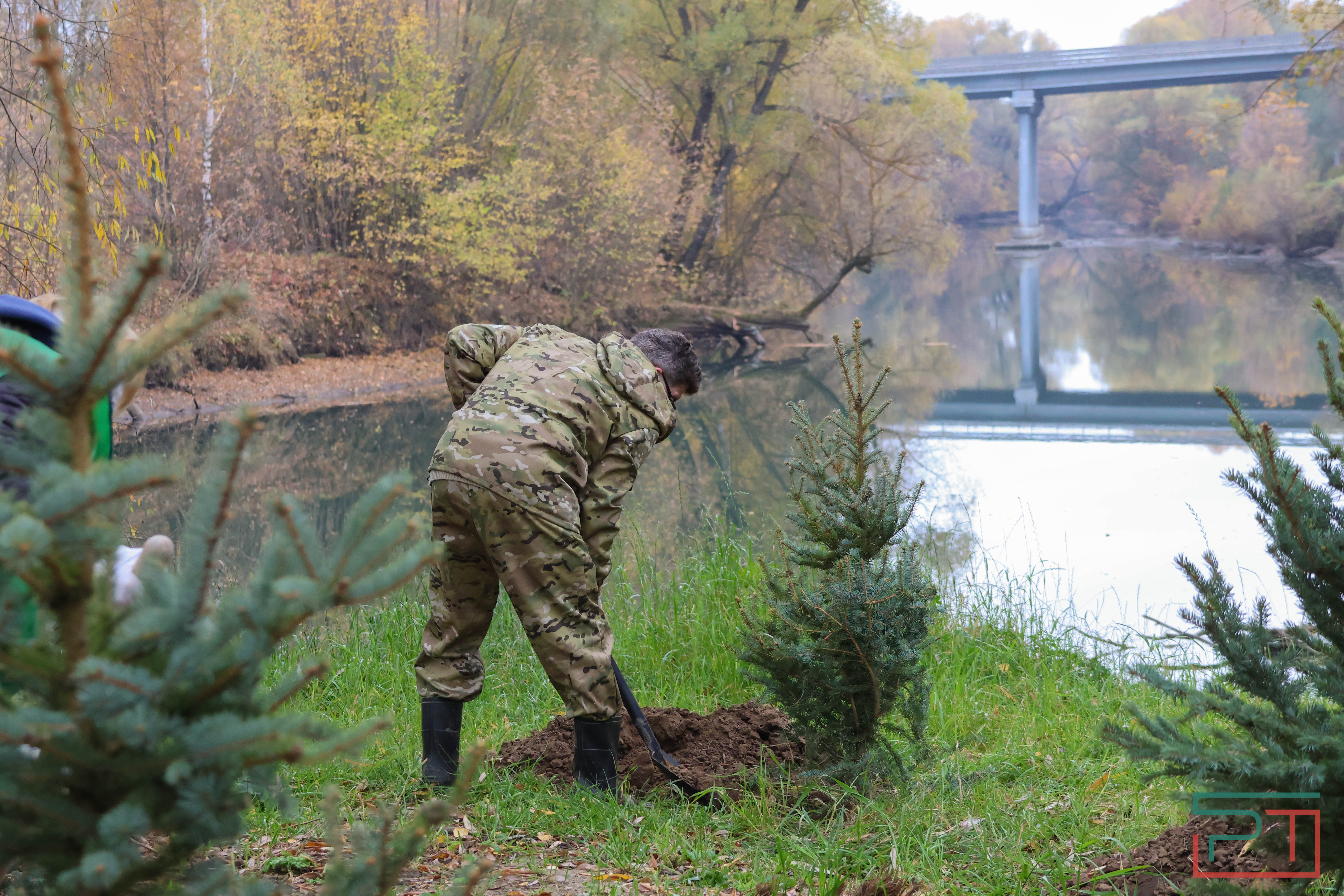 Акция «Сохраним лес»