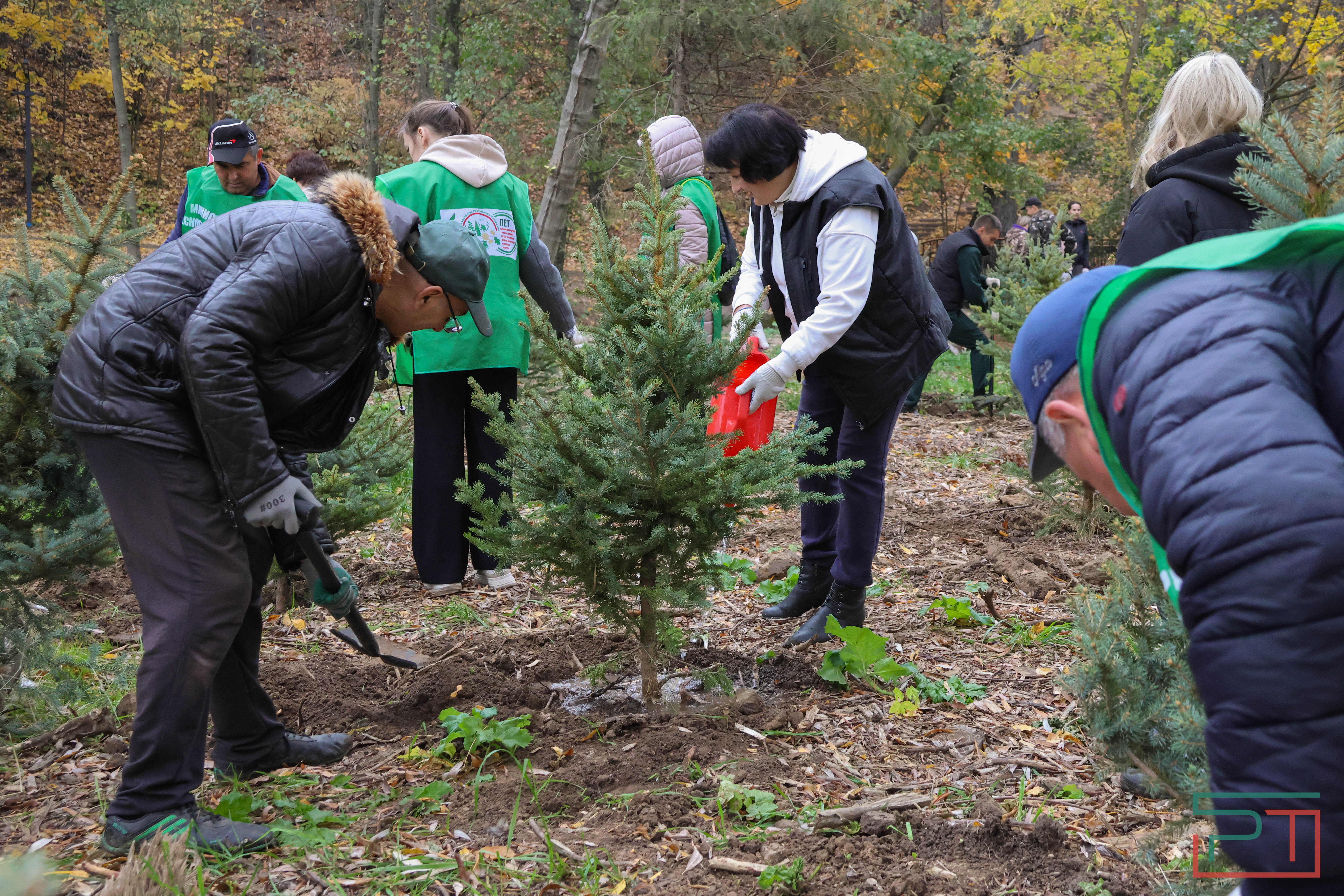 Акция «Сохраним лес»