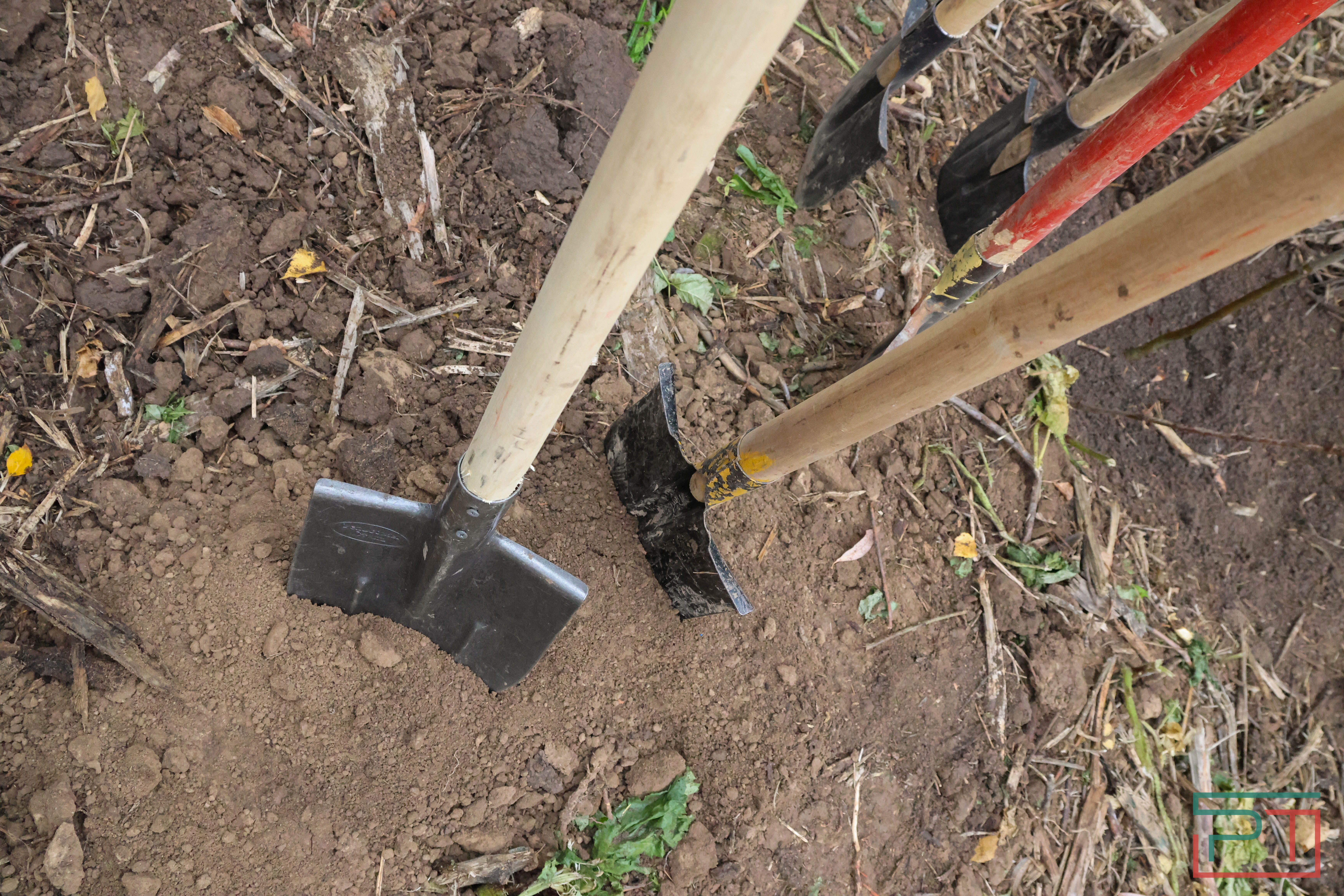 Акция «Сохраним лес»