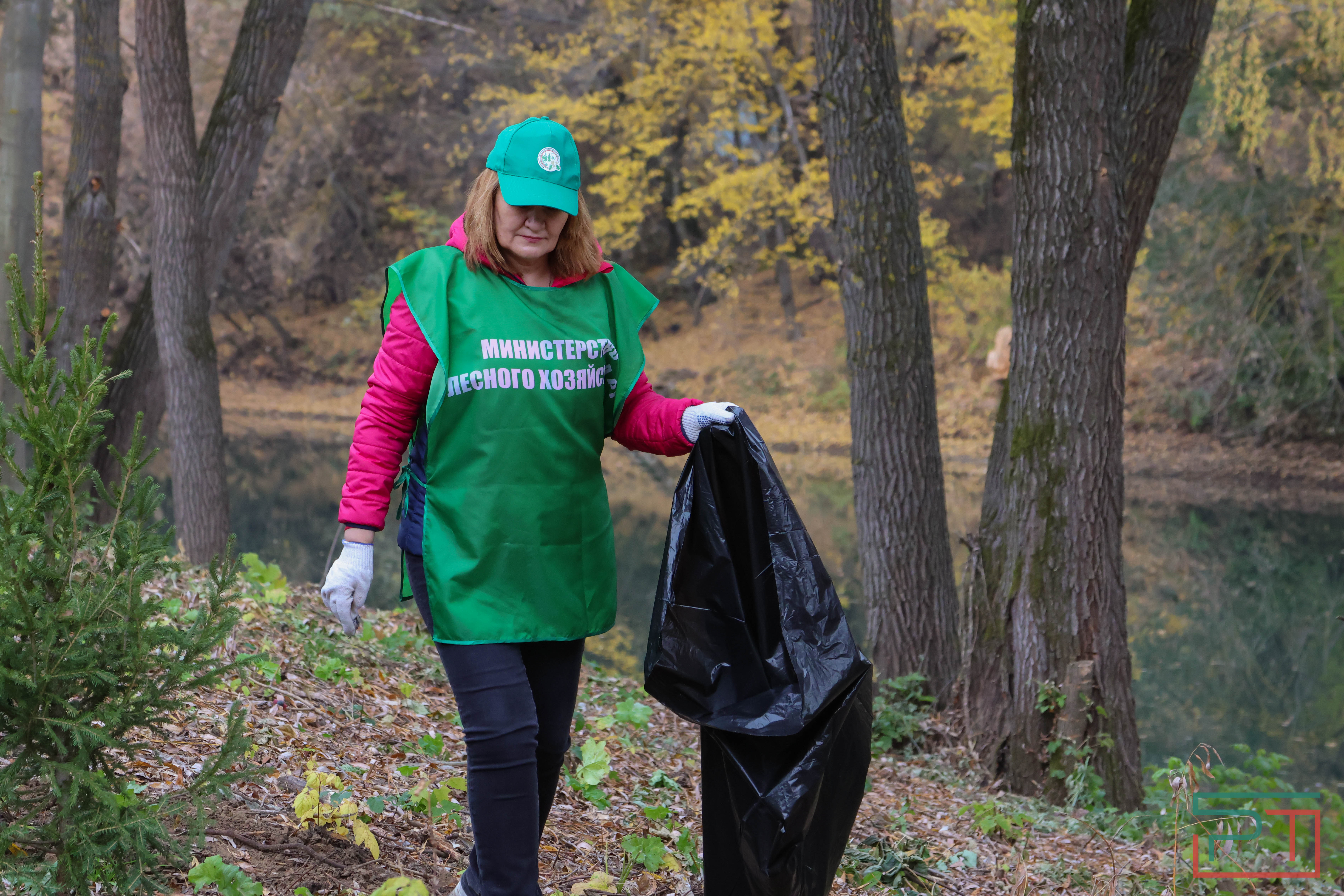 Акция «Сохраним лес»