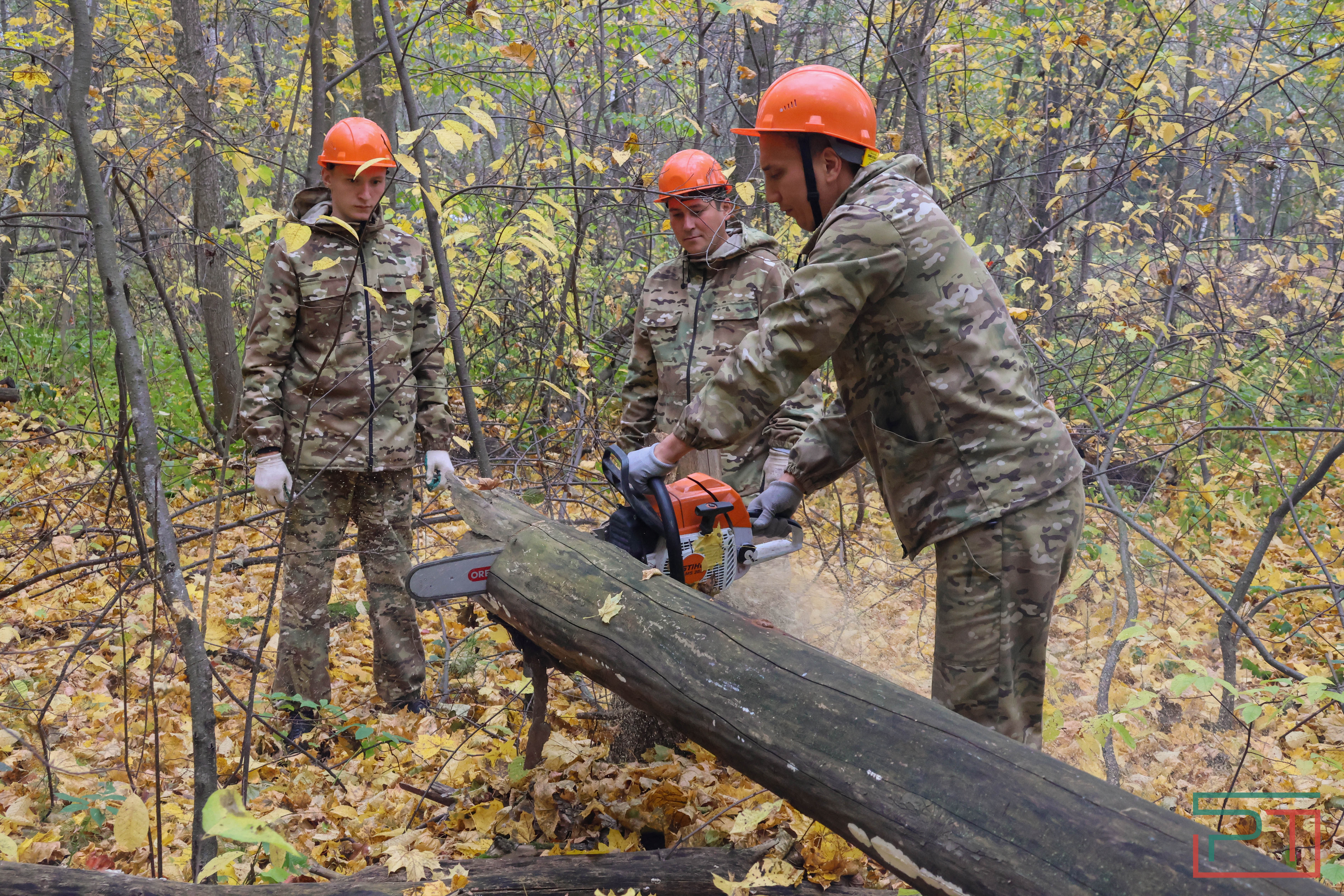Акция «Сохраним лес»