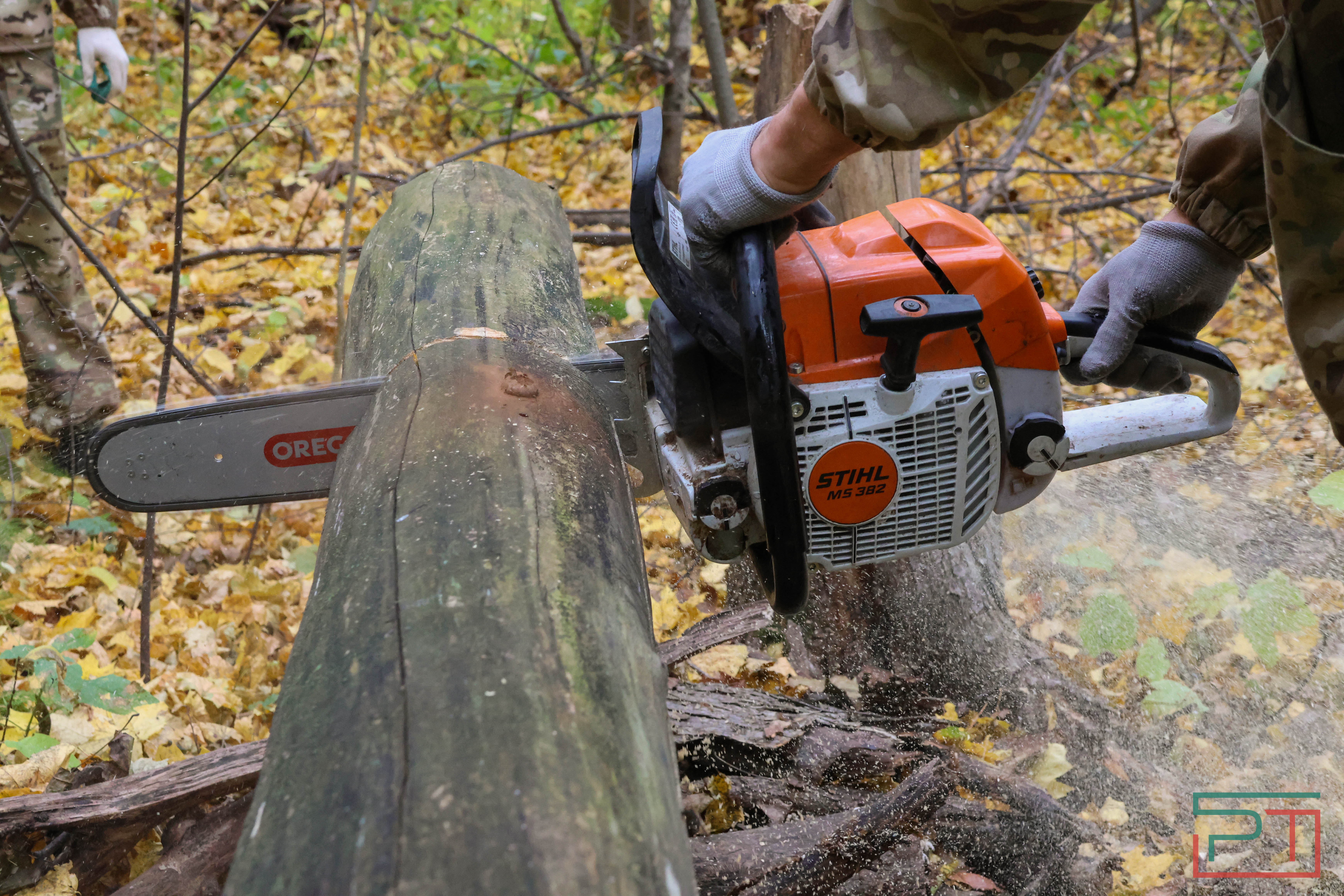 Акция «Сохраним лес»